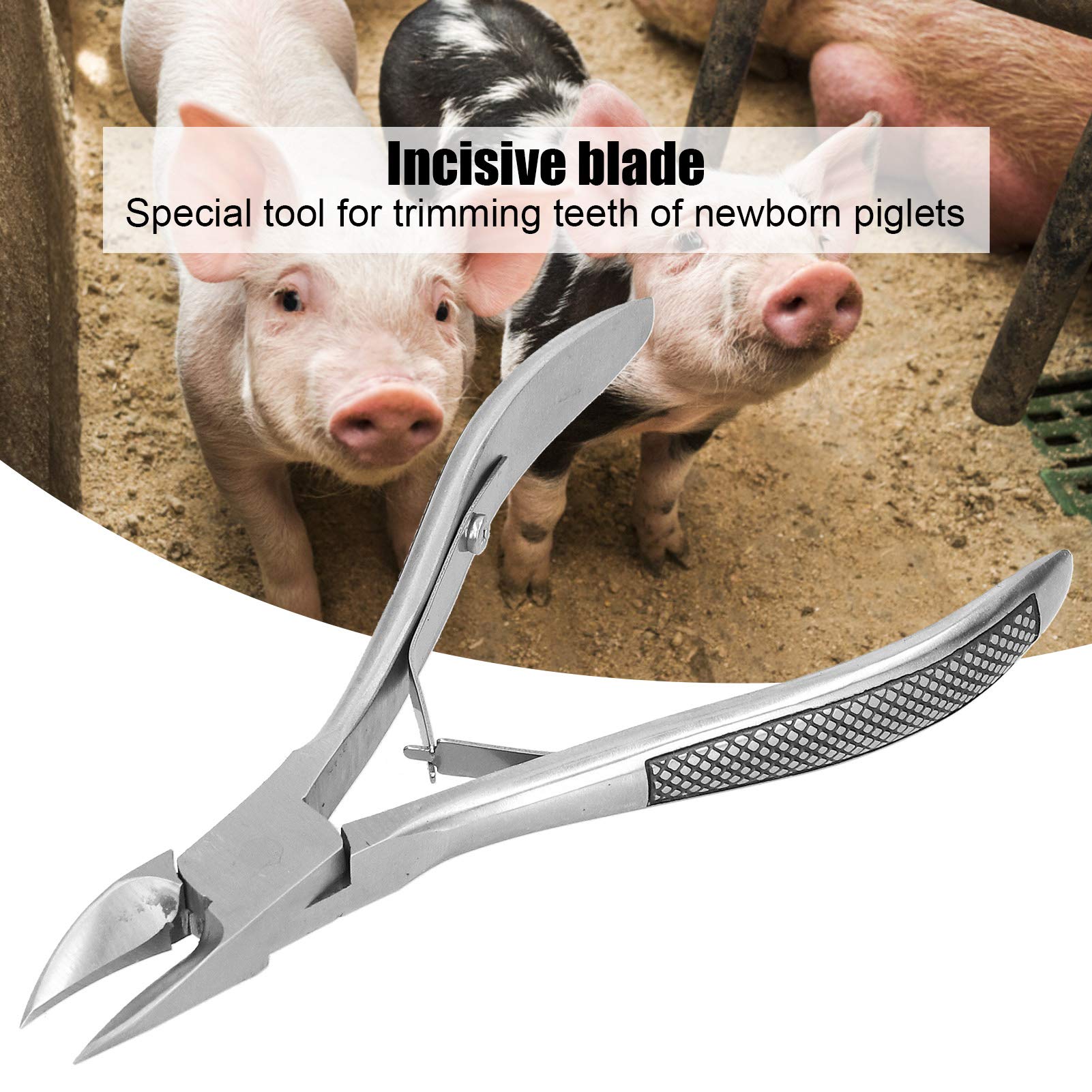 Stainless Steel Piglet Teeth Cutter Pliers - Professional Livestock Equipment for Pig Tooth Trimming | Durable Elbow Design for Safe & Efficient Piglet Care | Ideal for Farmers, Veterinarians & Livestock Handlers