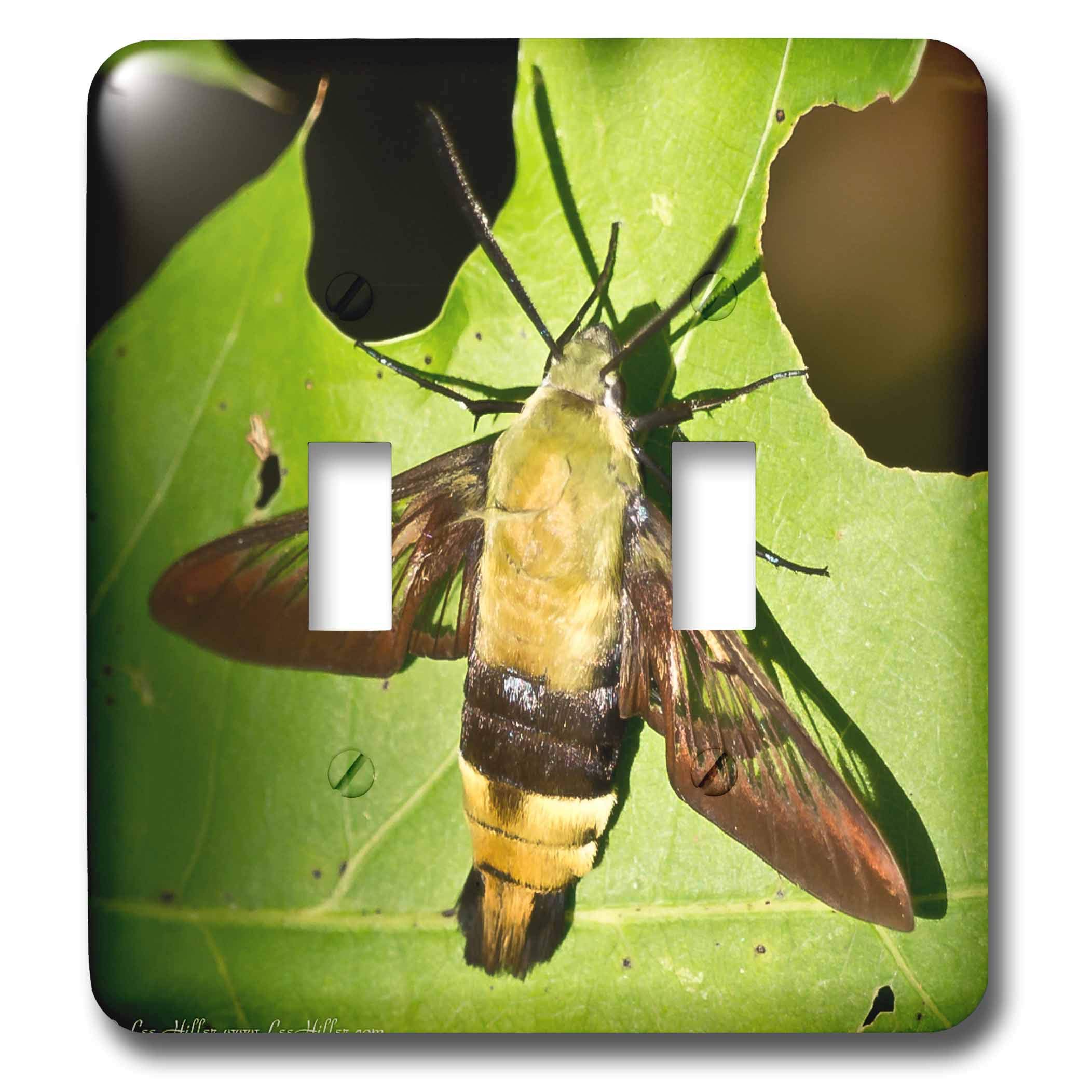 3D Rose Snowberry Clearwing Hummingbird Moth Toggle Switch - Colorful Decorative Switch Cover for Home, Office & DIY Projects - Perfect for Light Switches, Cabinets & Electrical Panels