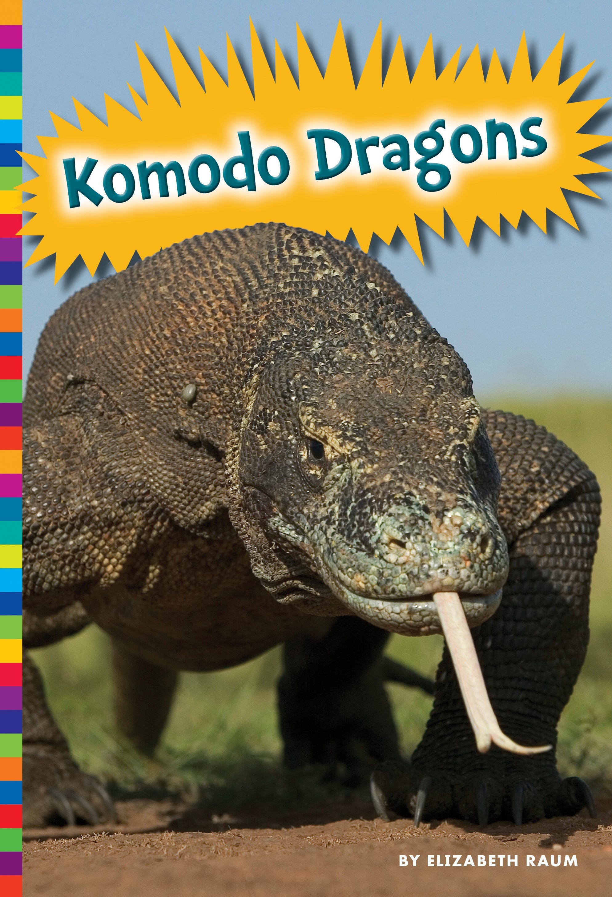 Komodo Dragon Lizards - Large Monitor Reptile Pet for Terrarium & Exotic Animal Enthusiasts | Perfect for Reptile Habitats, Educational Displays & Wildlife Collections