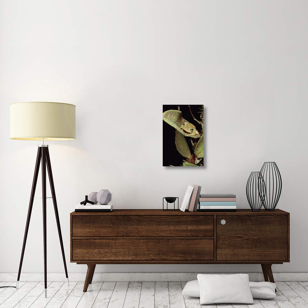 Global Gallery Tree Frog in Canopy Orchid Trinidad Canvas Art Print 16x24 Inches - Tropical Home Decor for Living Room, Bedroom & Office Wall
