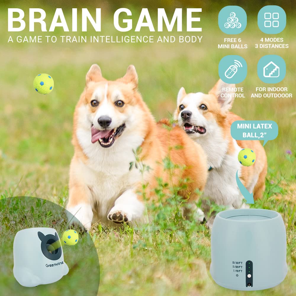 Automatic Dog Ball Launcher - Interactive Fetch Machine for Dogs with 6 Durable High-Bounce Balls | Perfect for Backyard Play, Training & Exercise | Great for Small, Medium & Large Dogs