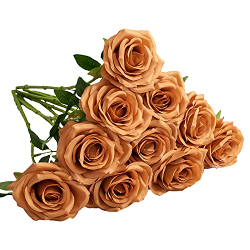 Orange Terracotta