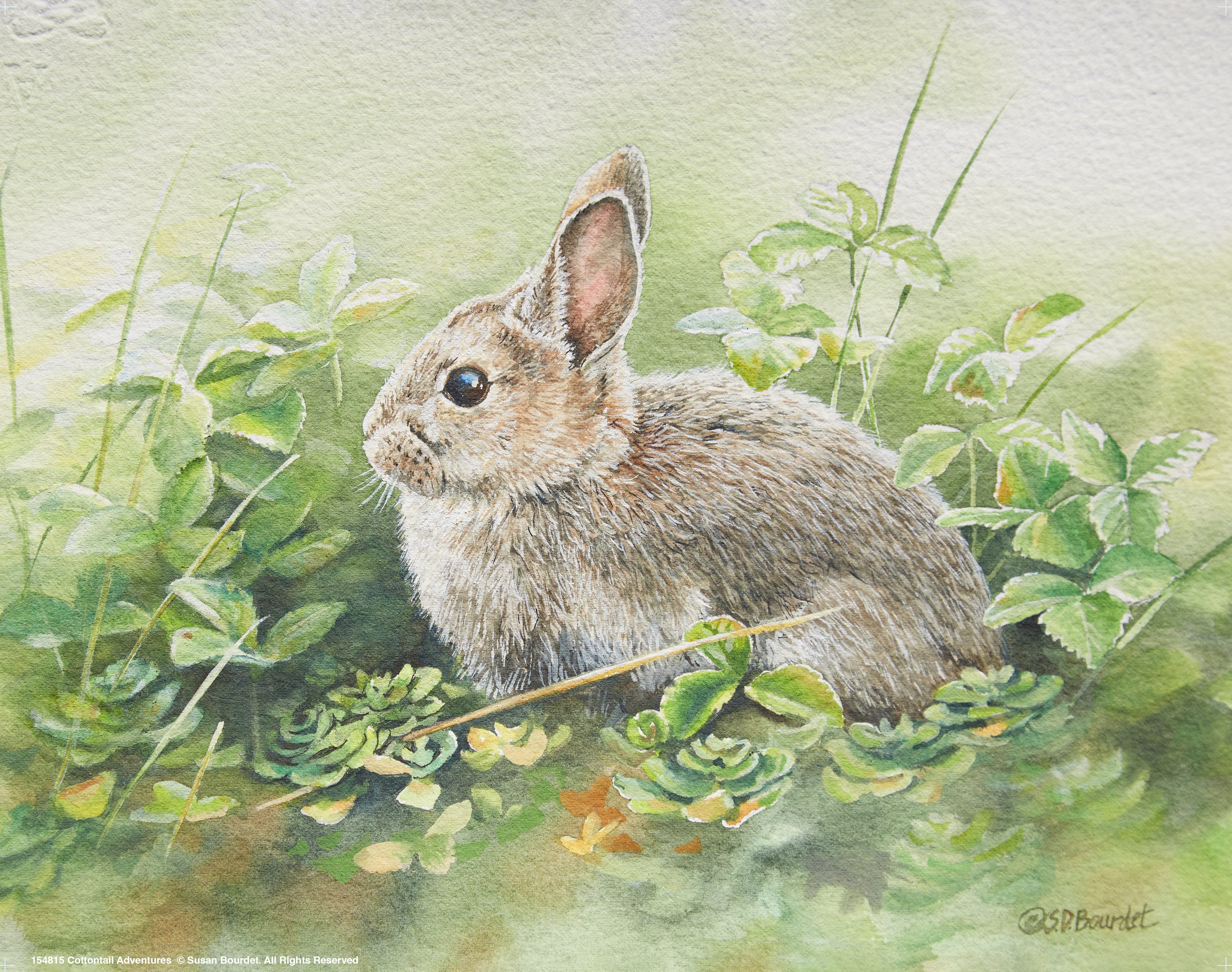 Cottontail Adventure Art Prints - Beautiful Rabbit Wall Decor for Nursery, Kids Room & Home - Perfect Gift for Animal Lovers