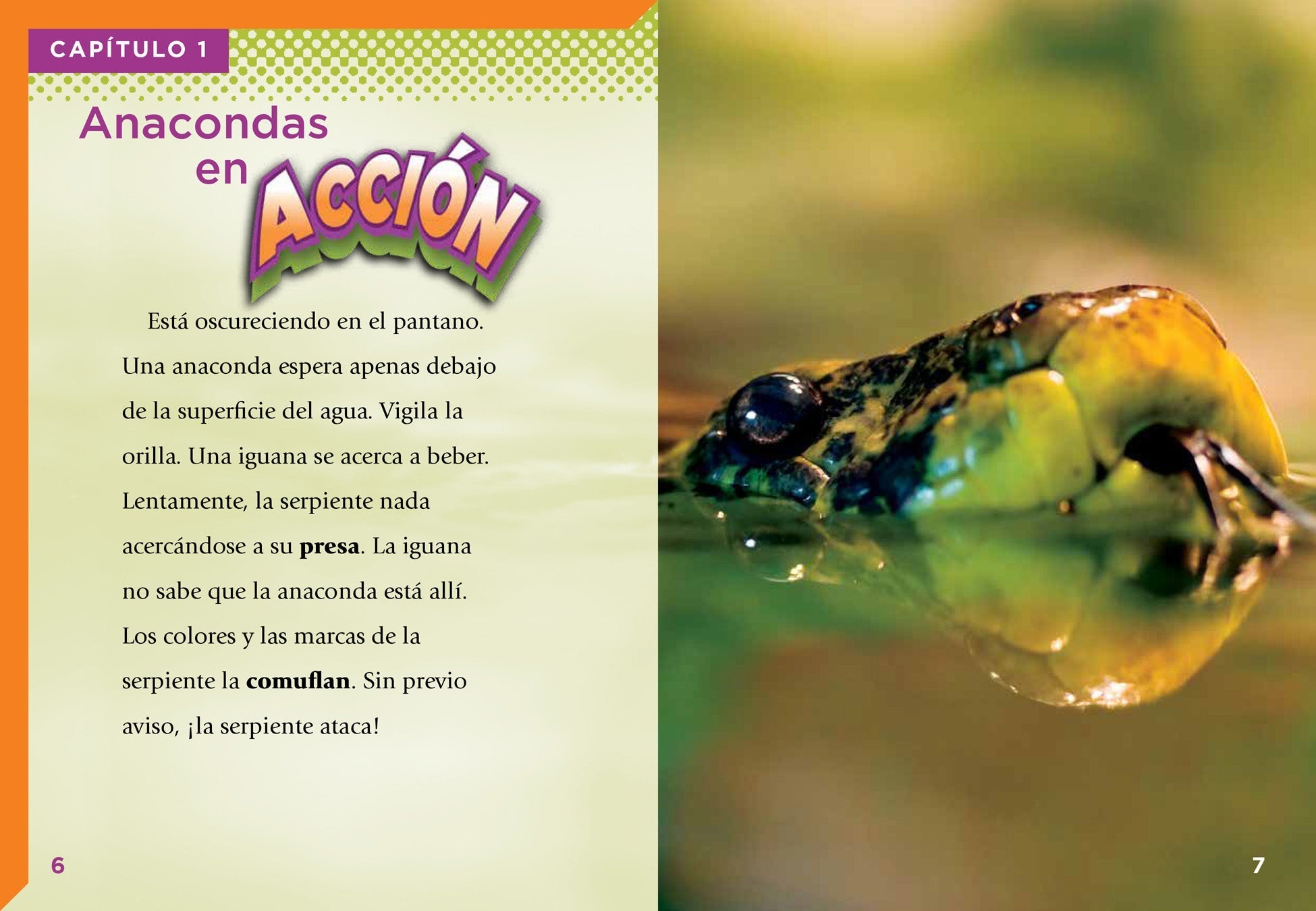 Anacondas Book 9781623105167 - Fascinating Facts & Habitat Guide for Reptile Enthusiasts | Perfect for Wildlife Research & Nature Lovers