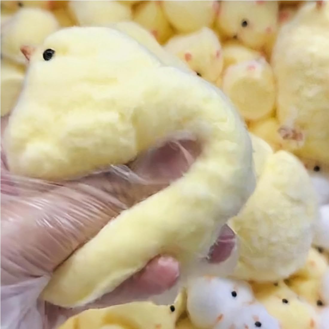 Handmade Realistic Chicken Squeeze Toy - Ultra Soft Stress Relief Fidget Toy for Kids & Adults - Fun Sensory Play for Anxiety Relief & Focus (2 Pack) - Perfect for Home, Office, School & Travel Use