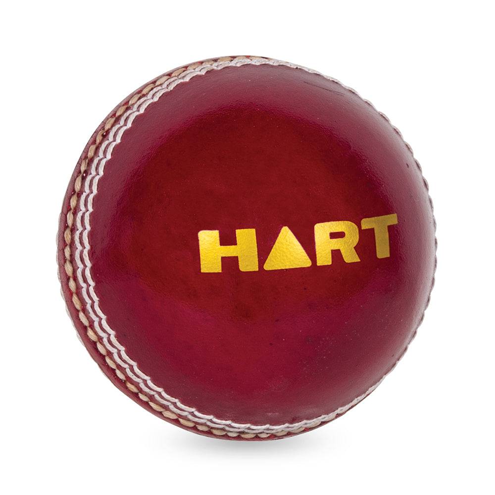 Premium HART Shield 2-Piece Cricket Balls - Professional Grade Leather Cricket Balls for Practice & Matches - Perfect for Cricket Training, Club Games & Tournament Play