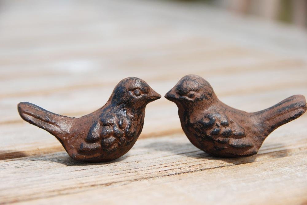 Esschert Design E8216 Rusted Finish Gift Box of Birds - Thank You Card Included - Perfect for Home Decor, Wedding Favors & Holiday Gifts