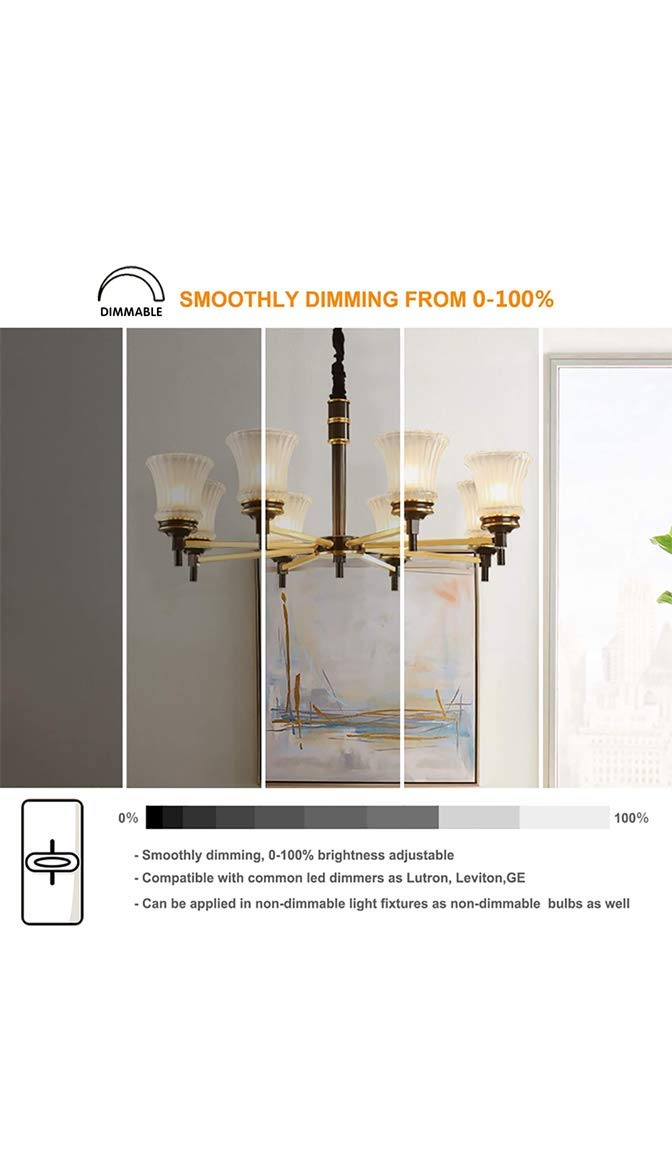 Dimmable 2W G6.35 GY6.35 LED Light Bulb 5 Pack - T3 T4 Bi-Pin S1911 AC10-24V/DC10-30V JC Type - Daylight White for Desk Lamps, Chandeliers, Accent & Landscape Lighting - Energy Saving Replacement Bulbs for Home & Office Use