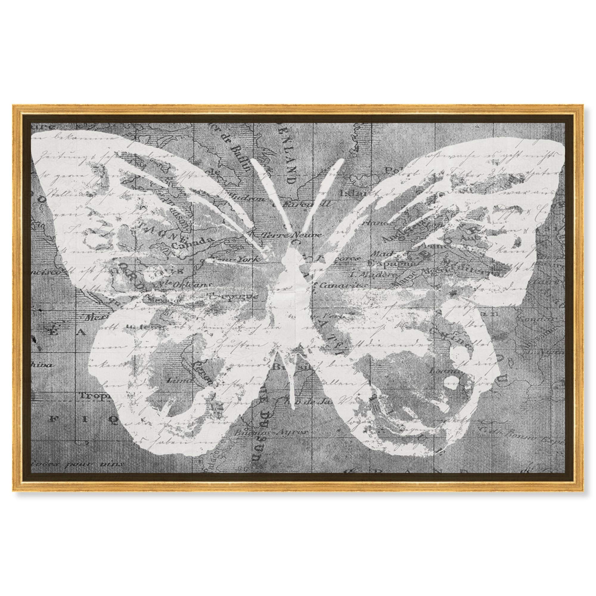 Oliver Gal Artist Co. 'Traveling Wings' Framed Wall Art - 45