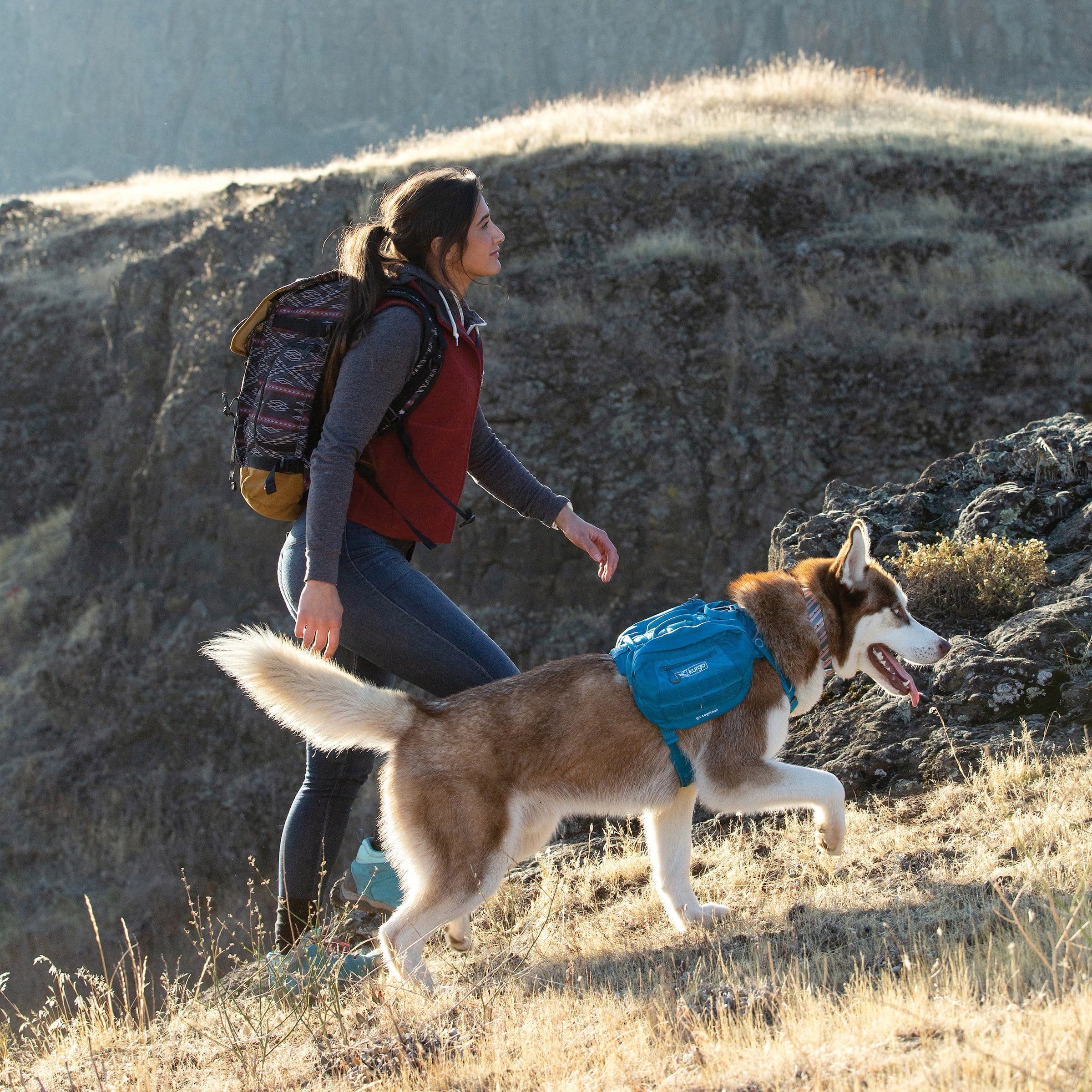 Kurgo MOLLIE Saddle Bag for Townie RSG Harness - Blue | Durable Dog Bike Accessory for Cycling & Outdoor Adventures