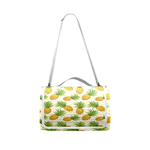 Pineapple 064