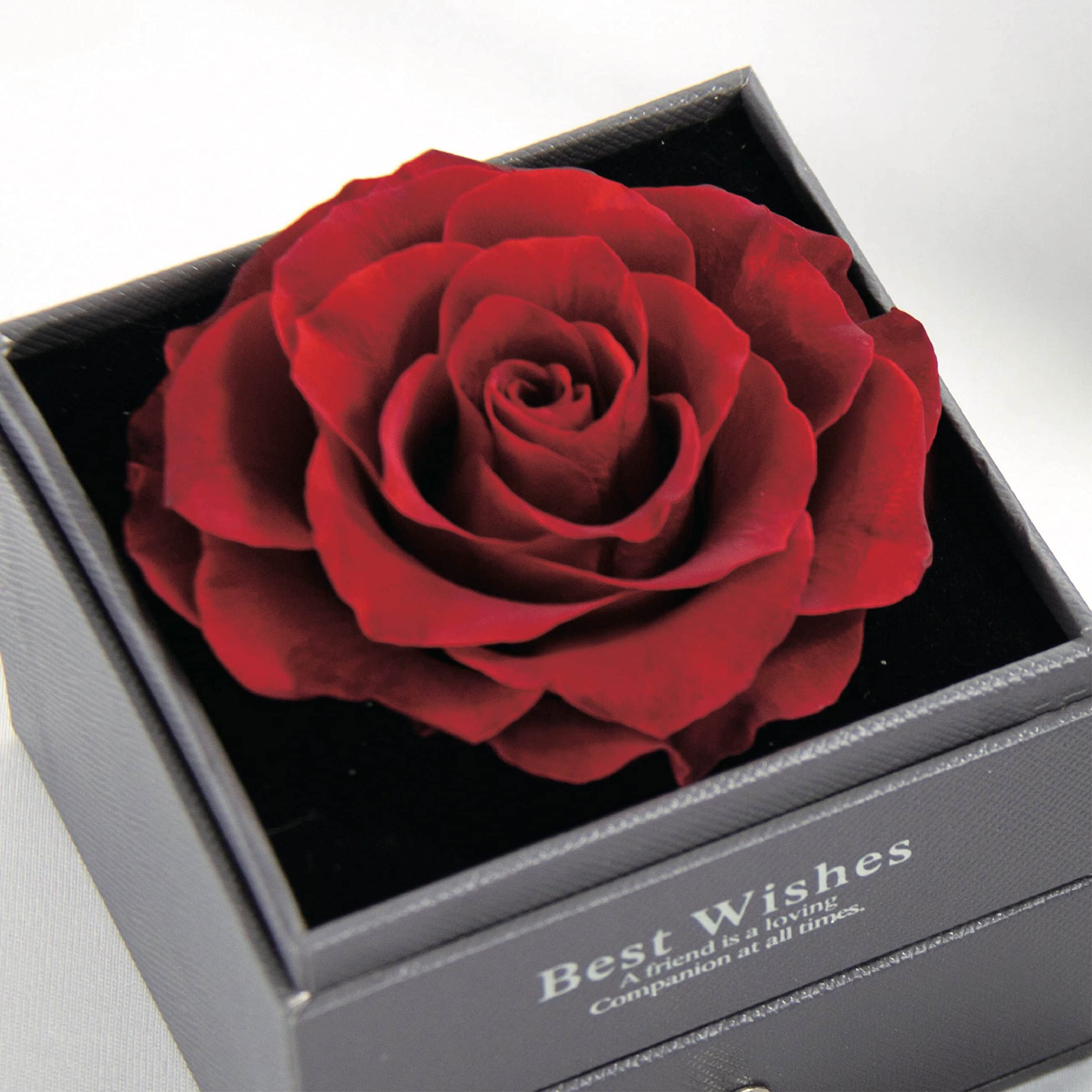 Preserved Red Real Rose Gift Box - Eternal Roses for Women, Wife, Girlfriend, Mom - Perfect Birthday, Anniversary & Valentine's Day Gift - Romantic Home Decor & Luxury Keepsake
