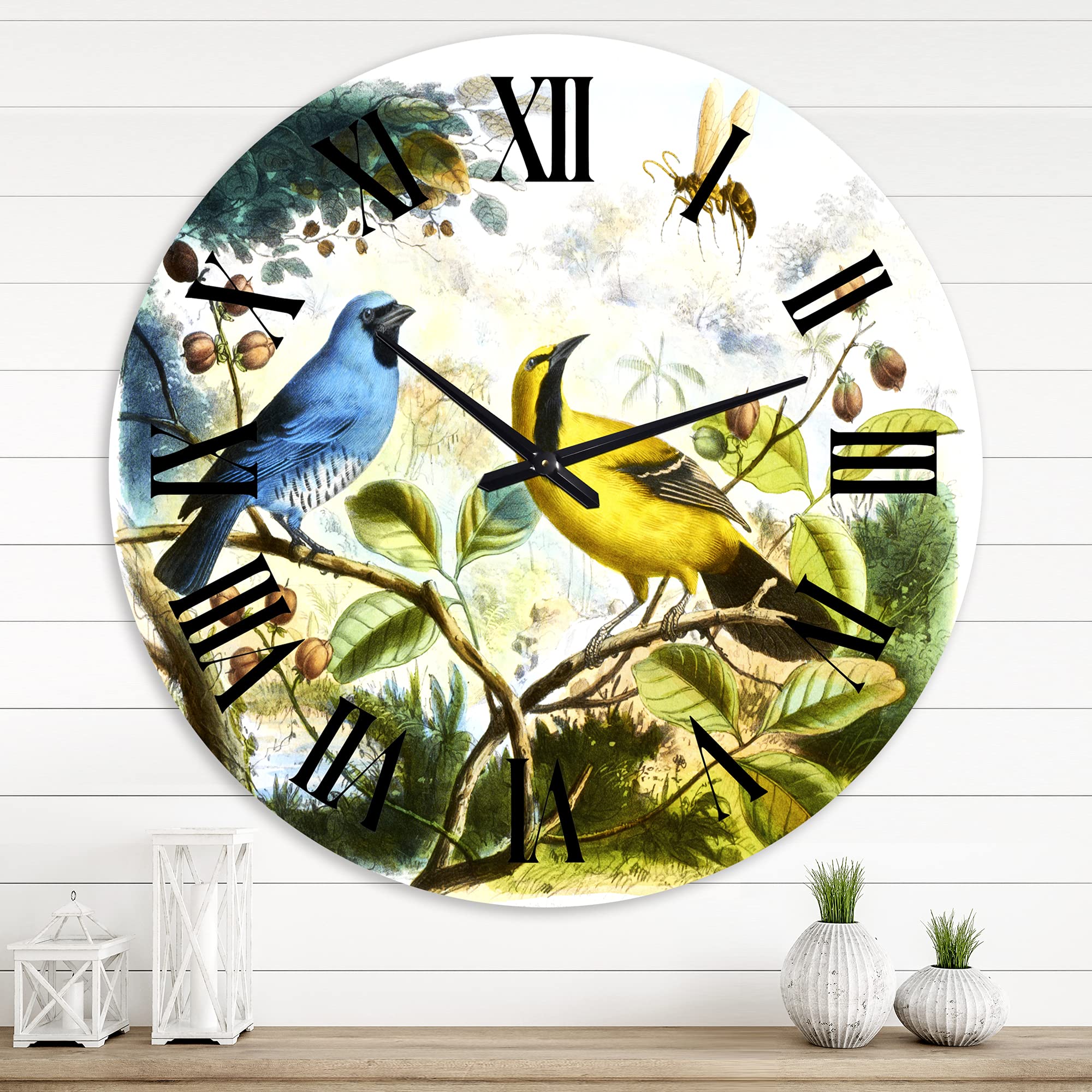 Blue and Yellow Bird in The Wild Wall Clock - Large Traditional DesignQ Wall Clock for Home, Office & Living Room Decor - Perfect for Farmhouse, Bedroom & Kitchen Wall Art