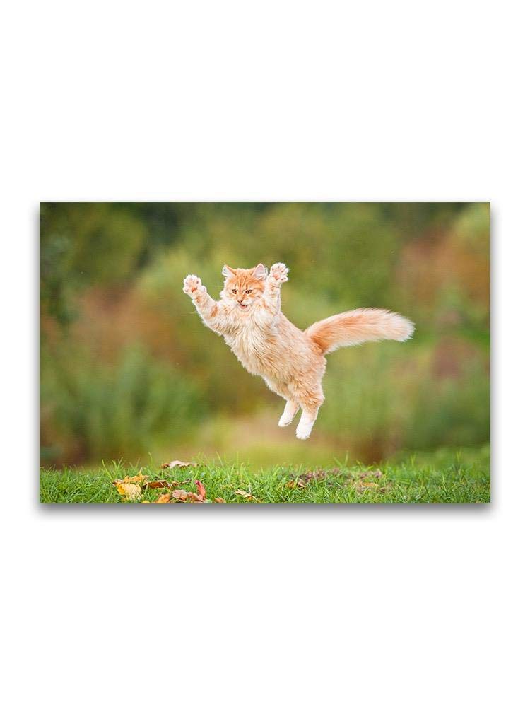 Ginger Flying Cat Poster - Whimsical Wall Art Decor for Cat Lovers, Home & Office Aesthetic