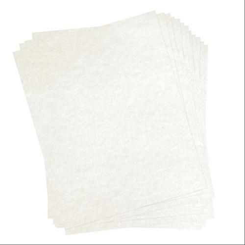 Dulytek 50-Sheet 10