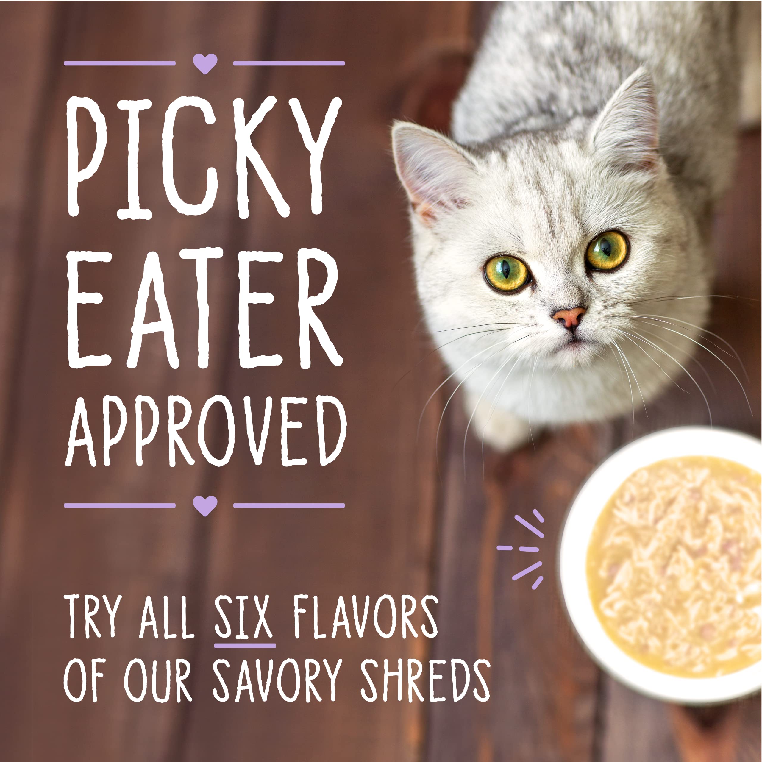 Stella & Chewy's Grain-Free Protein Rich Wet Cat Food - Wild-Caught Tuna & Mackerel Recipe in 2.8oz Cans (Pack of 24) | High Protein Cat Food for Adult & Senior Cats | Perfect for Picky Eaters & Mealtime Enrichment