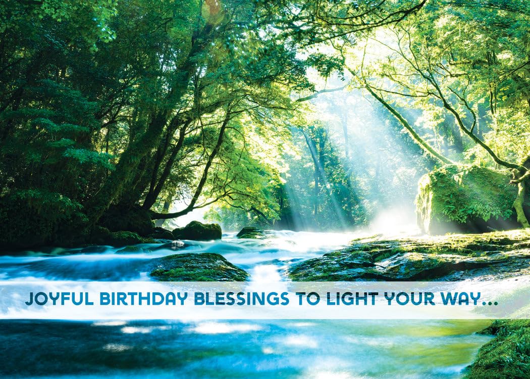 Warner Press Vibrant Views Assorted Birthday Greeting Cards Box of 12 (KJV) - Perfect for Birthday Celebrations, Party Invitations & Thoughtful Gifts