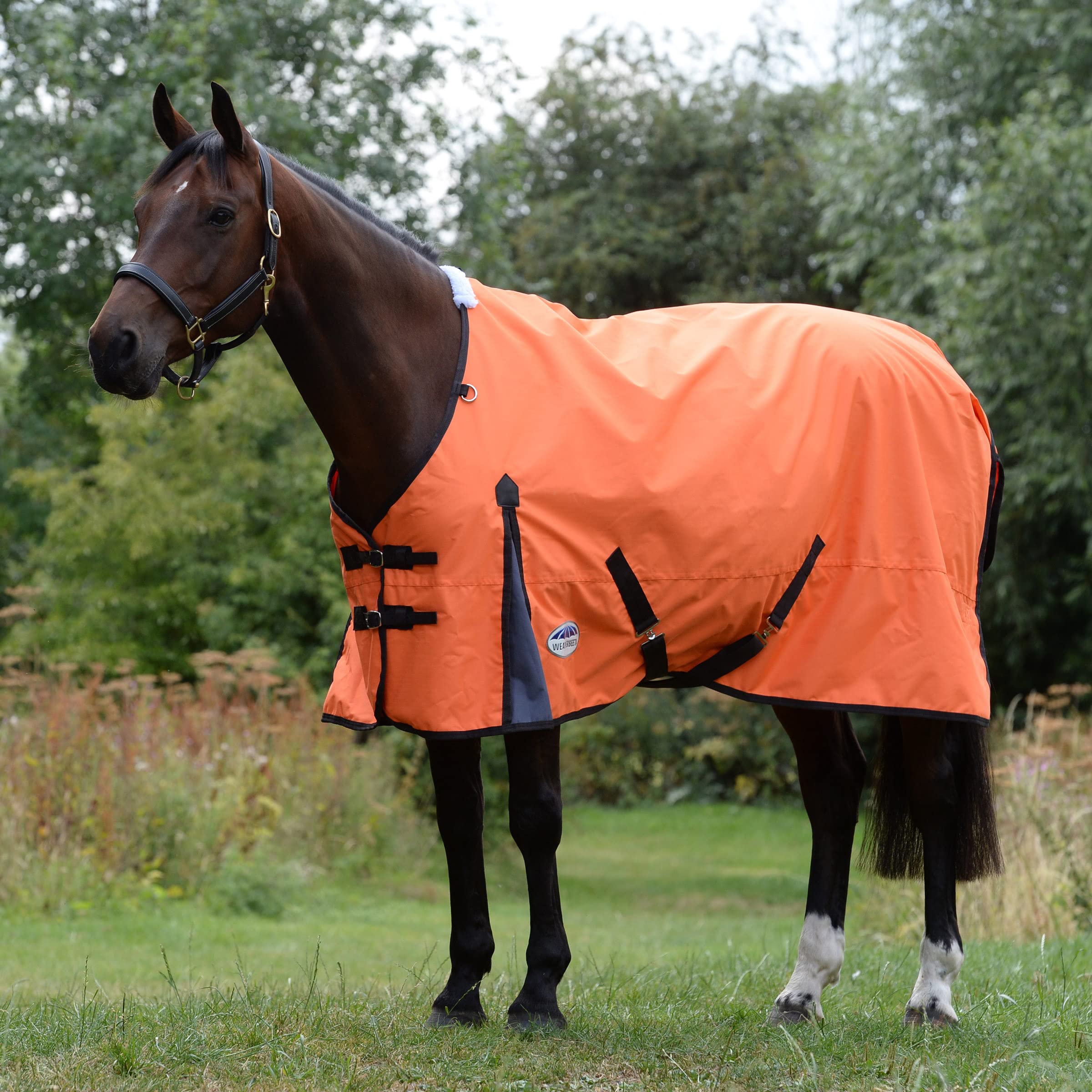WeatherBeeta ComFiTec Classic Standard Neck Lite Horse Blanket - 78