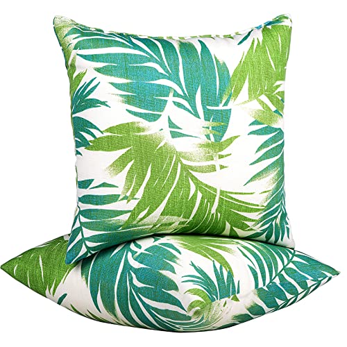 Green Palm Leaves