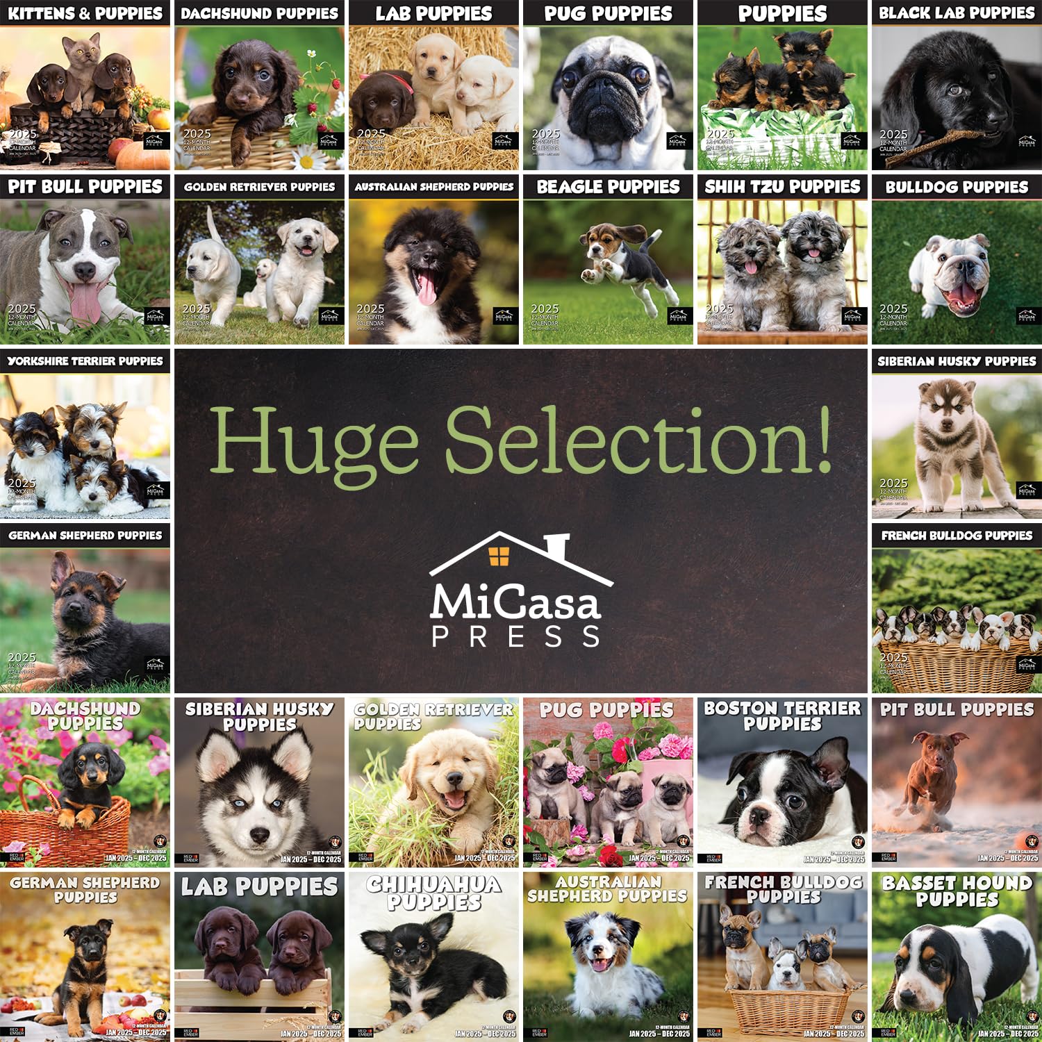 MICASA PRESS - 2025 Australian Shepherd Puppies Wall Calendar | 12