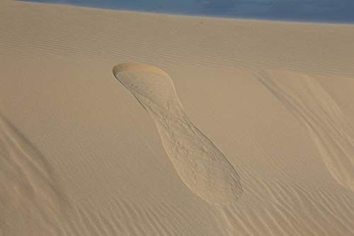 20x30 Inch Laminated Desert Sand Dune Poster - Vibrant Colors & High-Quality Print - Perfect for Living Room, Bedroom & Office Decor - Fits Standard Frames