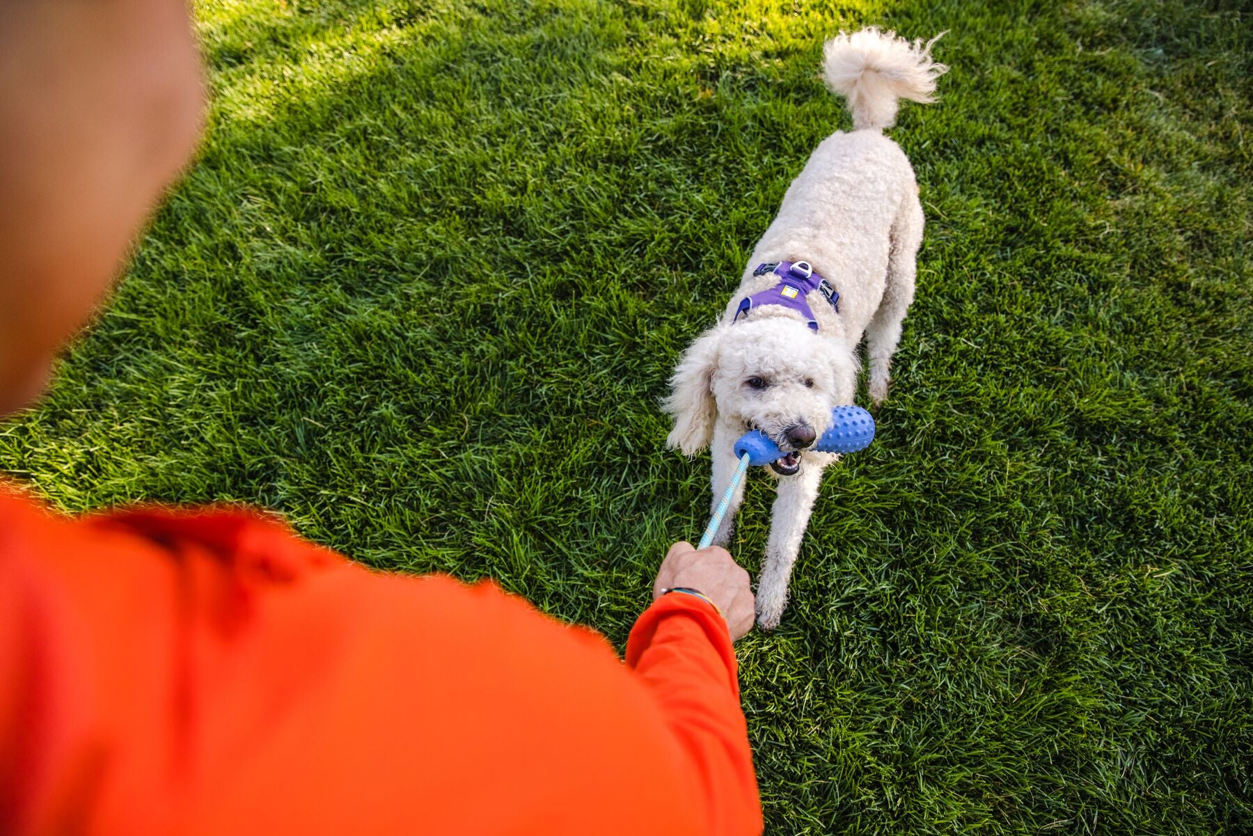 Ruffwear® Gourdo® Mint Green Rubber Dog Toy with Rope - Durable Chew Toy for Aggressive Chewers, Interactive Play & Outdoor Fetch Games
