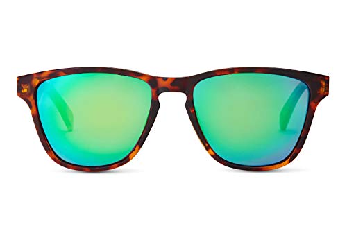 Tortoise / Green