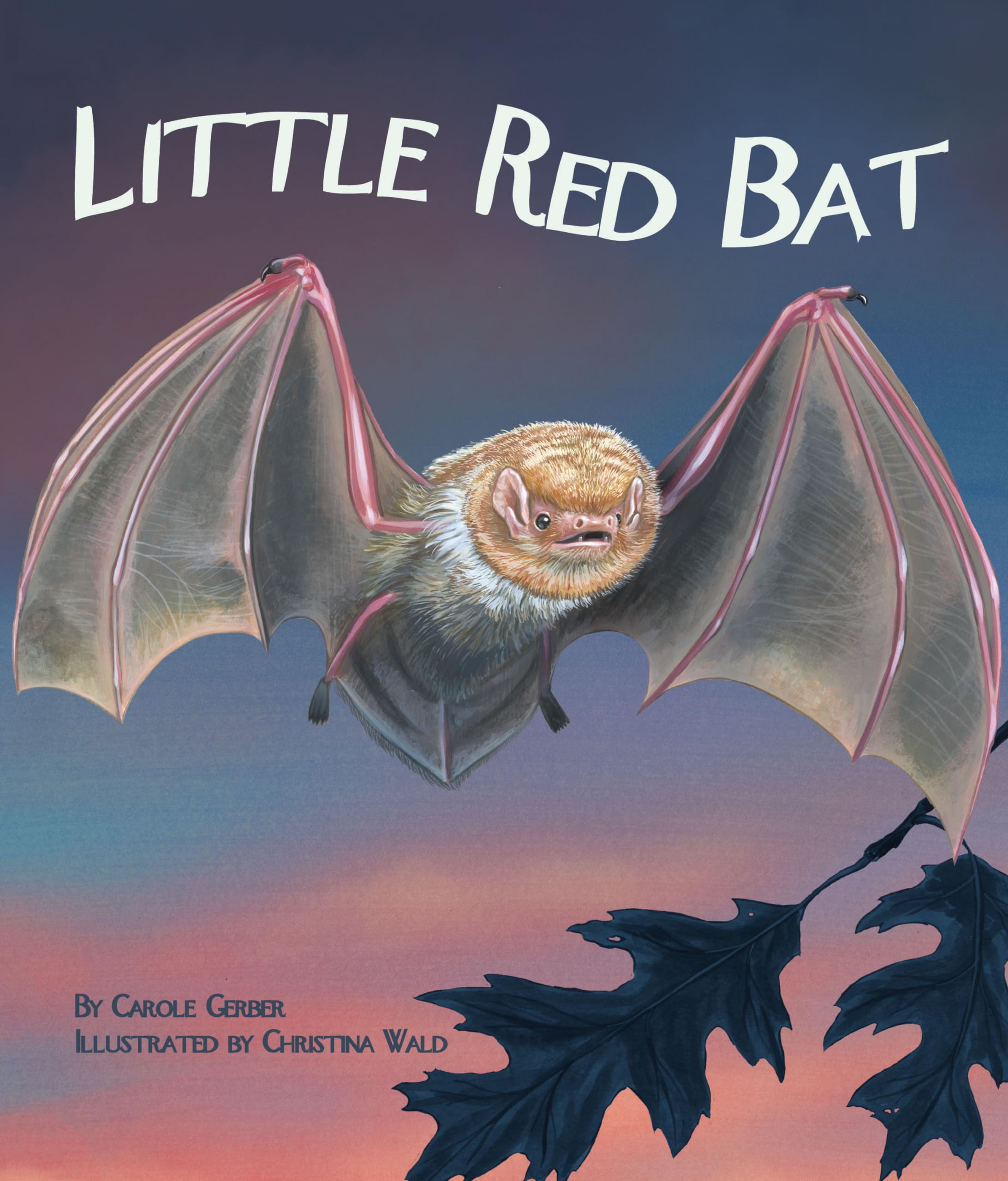Little Red Bat (Arbordale Collection) - Children's Educational Book About Bats - Perfect for Classroom Learning & Nature Exploration