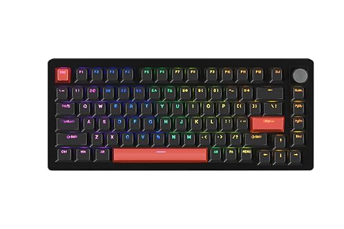 Black-OEM-PBT-B-Orange-Shine-Through