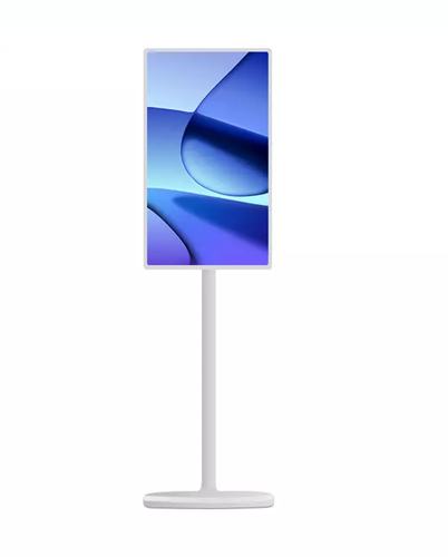 ELC Portable Projector Screen - 100