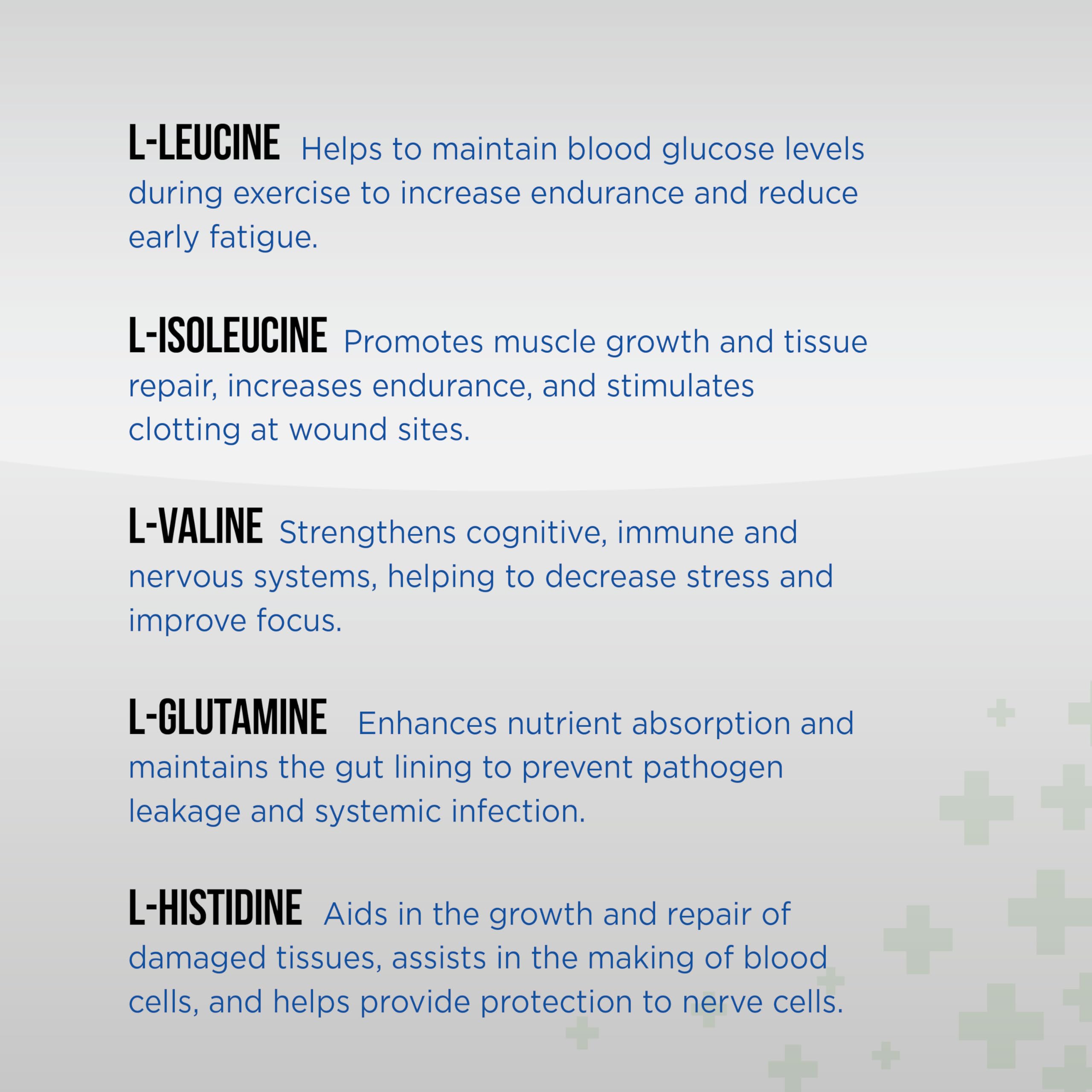 Equine Total Recovery Horse Supplement (620g - 100 Servings) - 9 Essential Amino Acids + Probiotics for Joint Health - Sugar Free, Soy Free, No Fillers - Supports Muscle Recovery & Digestive Health - Ideal for Performance Horses & Senior Equine Care