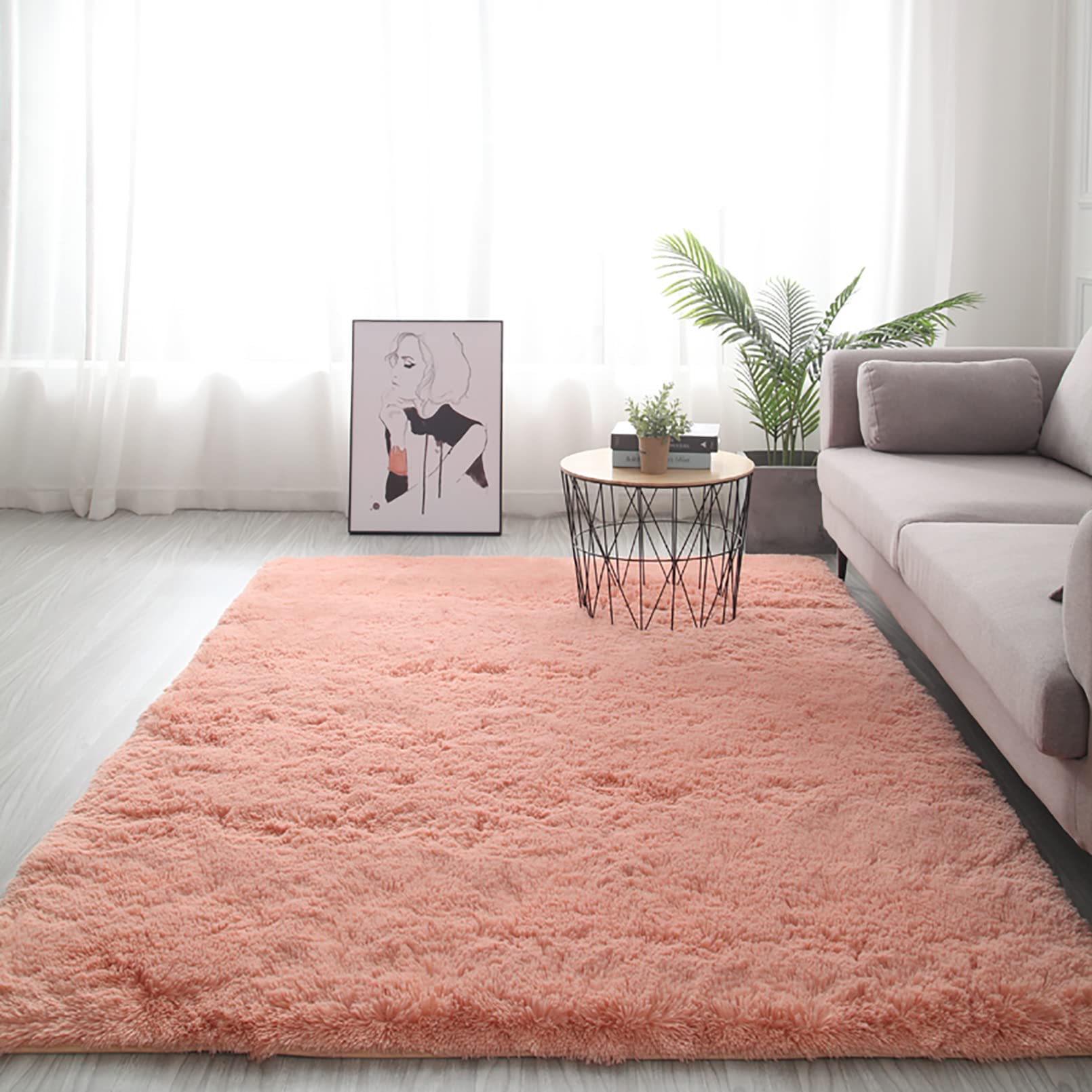 Soft Fluffy Area Rugs for Bedroom & Living Room - Plush Shaggy Fur Rug for Kids Nursery, Dorm Room - Cozy Furry Carpet Mat for Indoor Home Decor - Perfect for Cold Floors, Play Areas & Cozy Spaces