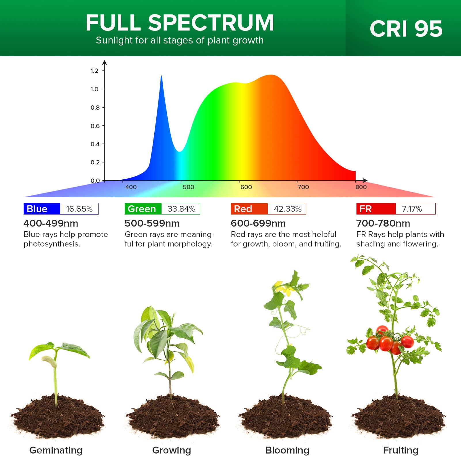 SANSI LED Grow Light for Indoor Plants - Full Spectrum Clip-On Plant Light with 4-Level Dimmable & Auto Timer (3/6/12H) - Perfect for Succulents, Herbs & Small Plants - White 5V USB Powered - Ideal for Home Gardening, Hydroponics & Indoor Plant Growth