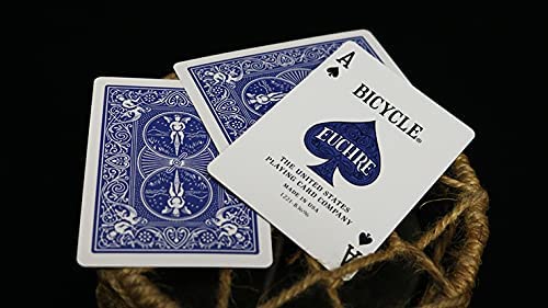 Premium Bicycle Euchre Playing Cards Set with Clear Protective Case - Perfect for Card Games, Travel, and Collectors