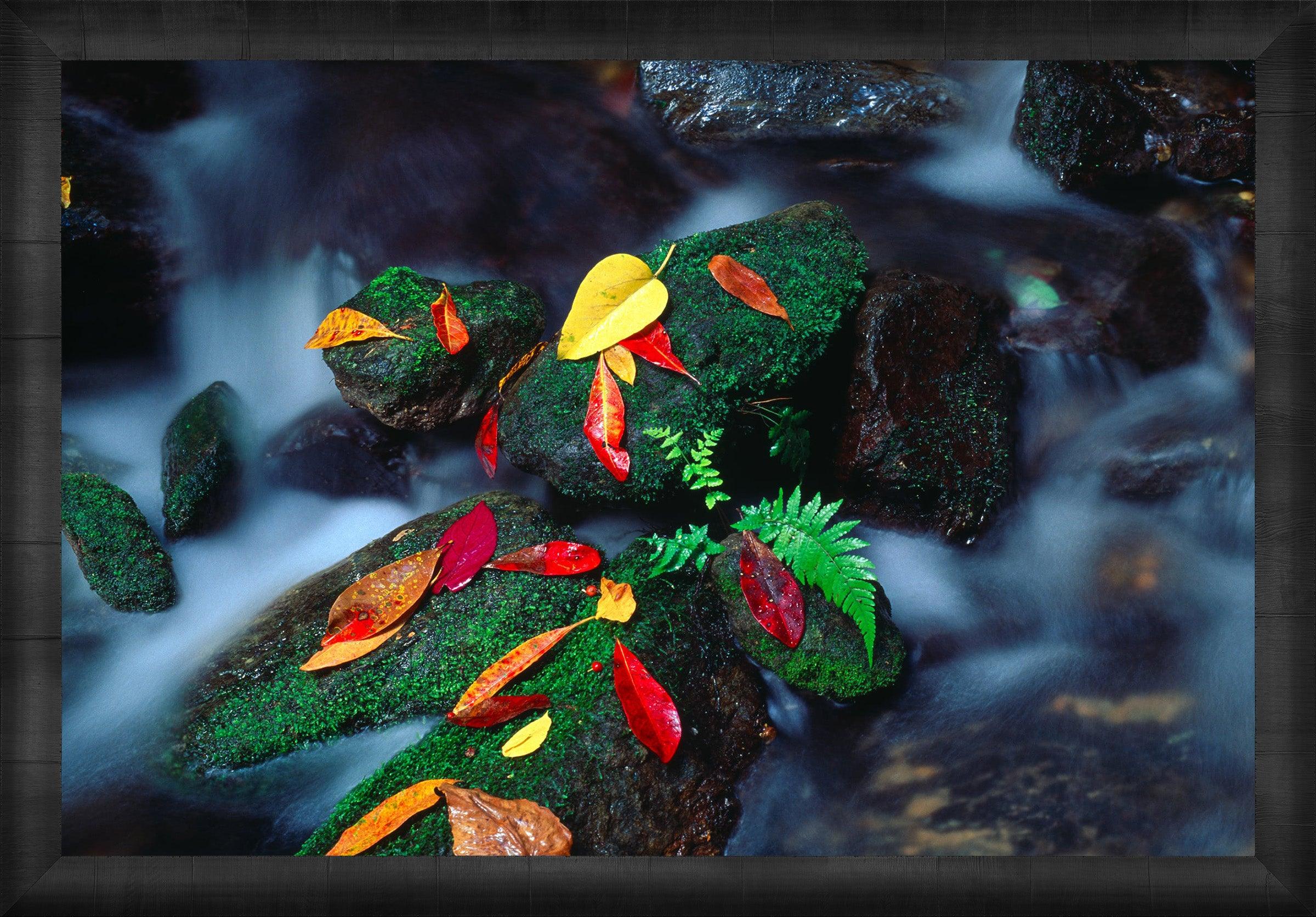 Autumn Stream - Premium Outdoor Waterproof Bluetooth Speaker for Hiking, Camping & Beach - Portable Wireless Speaker with Rich Bass & Long Battery Life