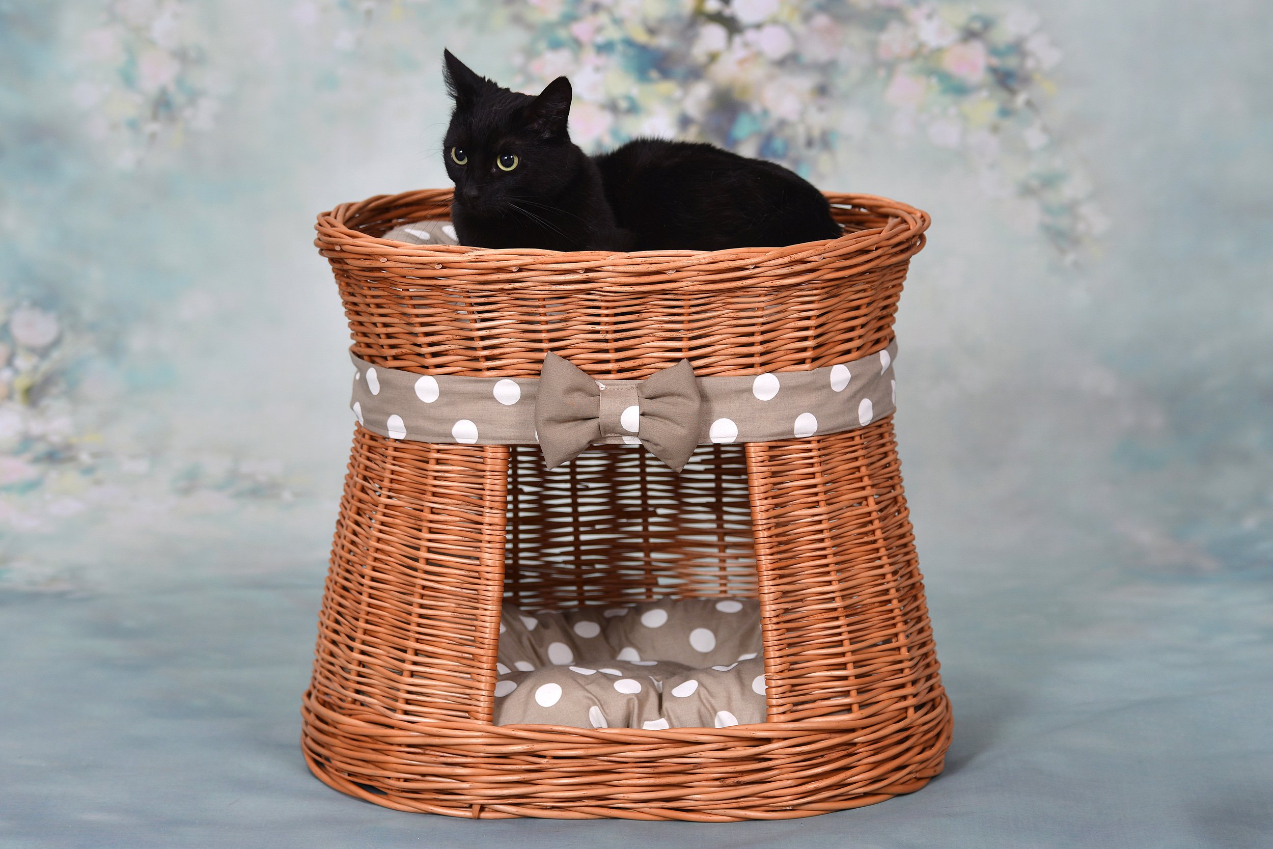Willow Storage Basket - Natural Honey Yellow Wicker Basket - 50 x 40 x 45 cm - Perfect for Home Organization, Laundry, Toys & Blanket Storage