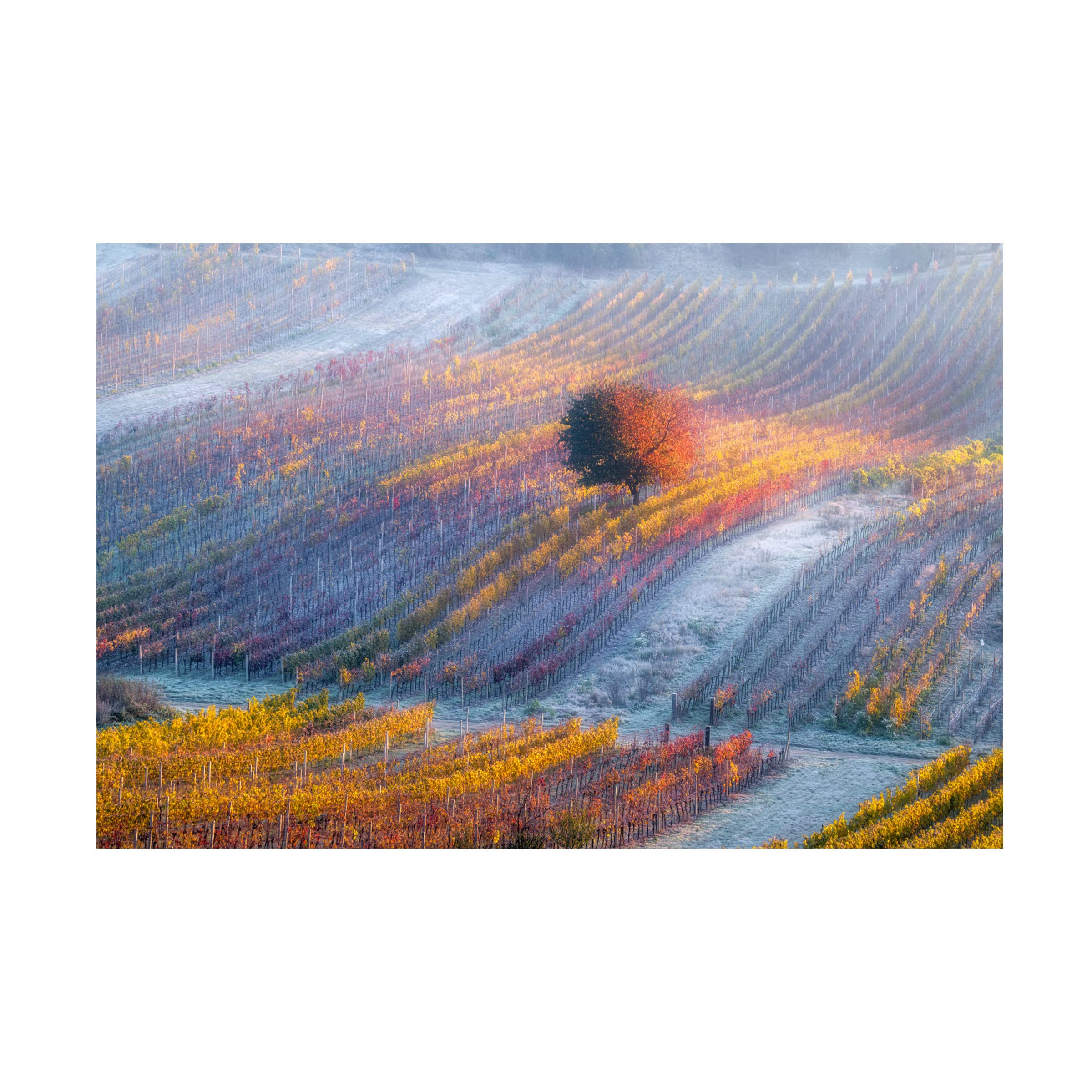 Trademark Fine Art 'Breath Of Winter' Canvas Wall Art Print by Alexandr Kukrinov - Winter Landscape Painting for Living Room, Bedroom & Office Decor
