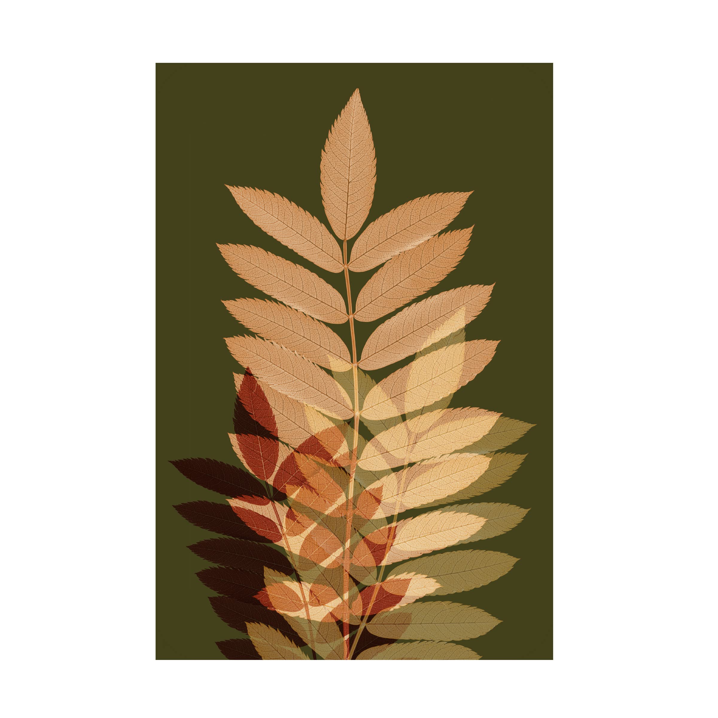 Fall Leaves 2 Canvas Wall Art Print by Ian Winstanley - Modern Nature Landscape Painting for Living Room, Bedroom & Office Decor