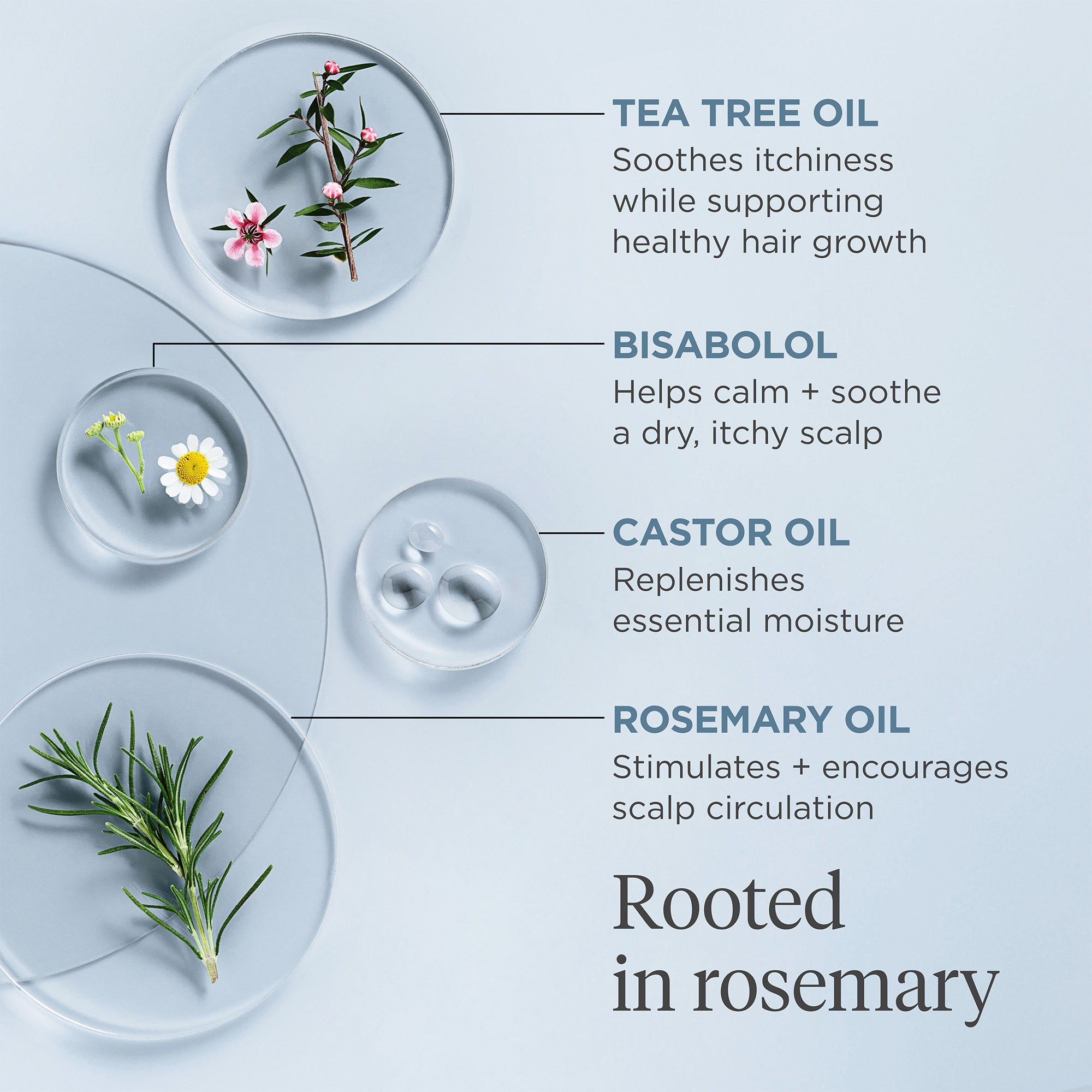 Scalp Revival Rosemary Pre Wash Oil for Hair Growth & Scalp Care - Natural Hair Treatment for Dry Scalp, Dandruff & Itch Relief | Perfect for Pre-Shampoo Routine & Deep Conditioning