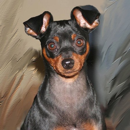3D Rose Miniature Pinscher Dog Breed 10x10 Inch Square Quilt - Perfect for Pet Lovers, Home Decor, and DIY Quilting Projects