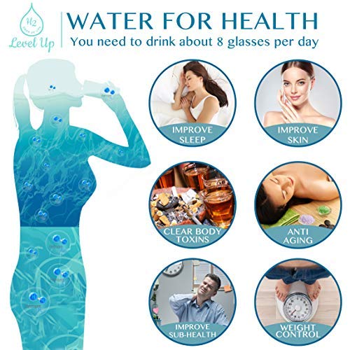 LevelUpWay 2025 Hydrogen Water Bottle Generator - SPE PEM Ionic Membrane Technology - High Borosilicate Glass - 13oz (Crystal Silver) - Portable Hydrogen Water Maker for Home, Office & Travel Hydration