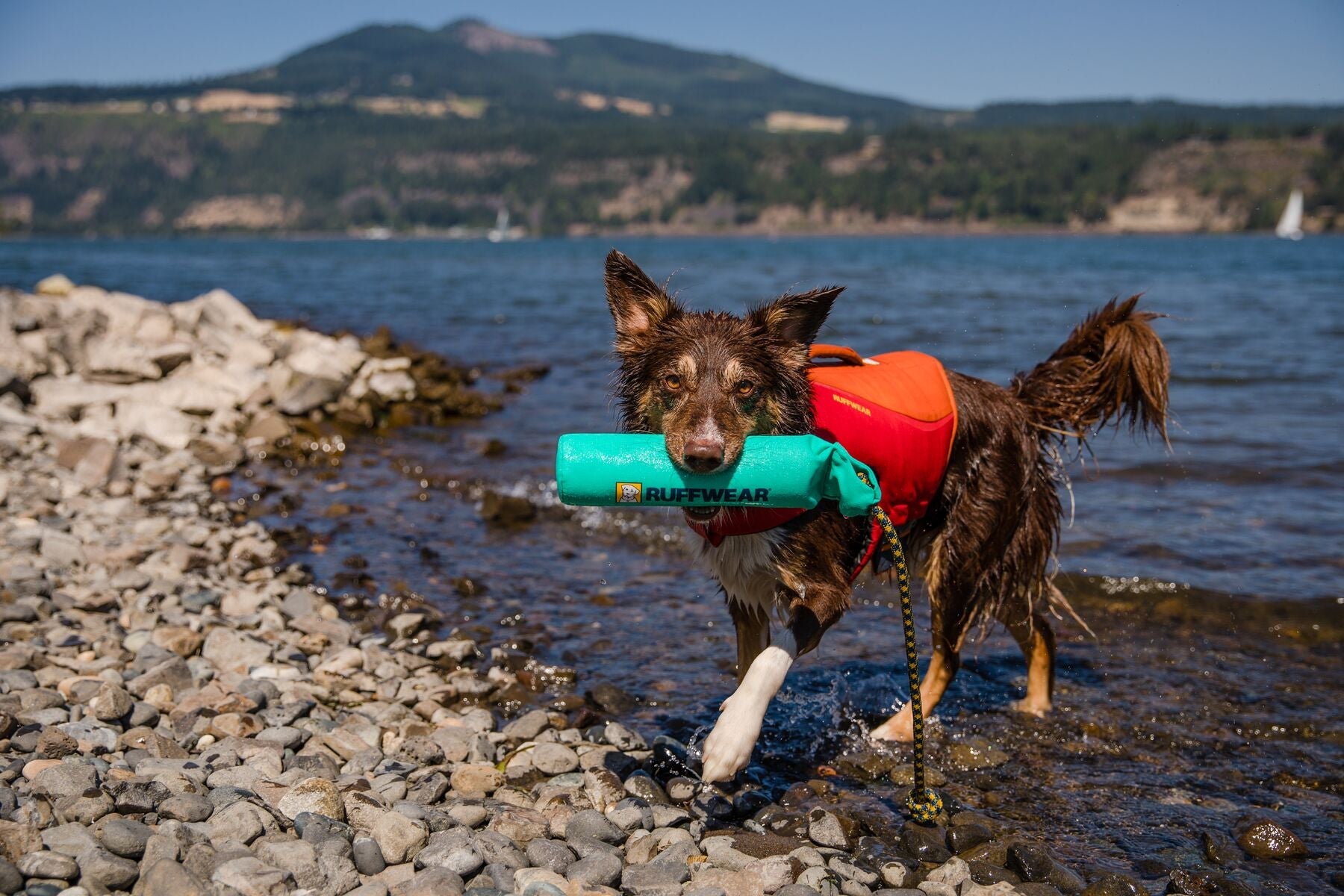 Lunker® Biolumin Blue - Glow in The Dark Foam Water Toy for Dogs | Floating Chew Toy for Pool, Beach & Outdoor Play | Durable & Safe for Pets