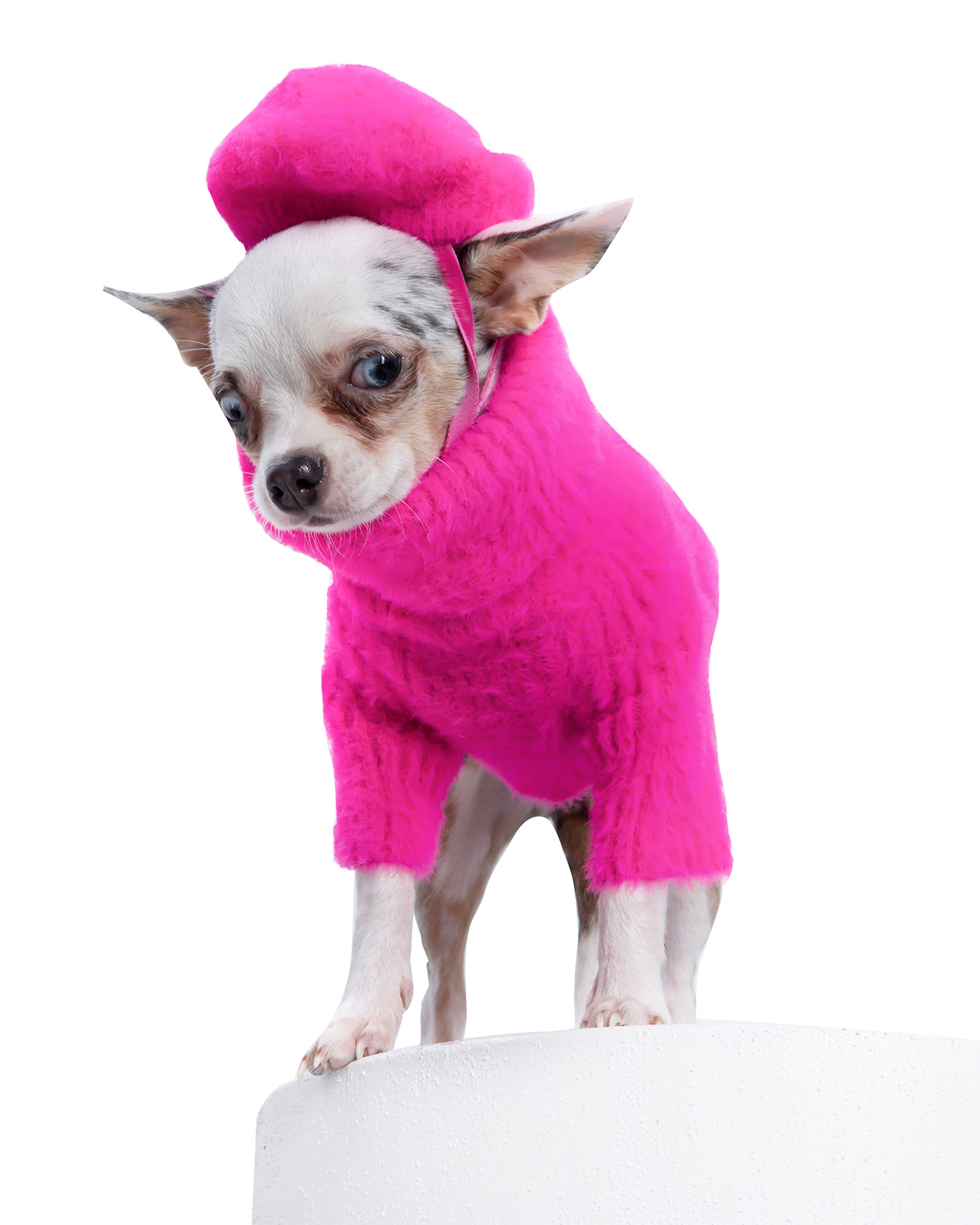 Loves It Dog Sweater & Hat - Warm Winter Outfit for Small & Large Dogs - Perfect for Cold Weather Walks & Outdoor Adventures