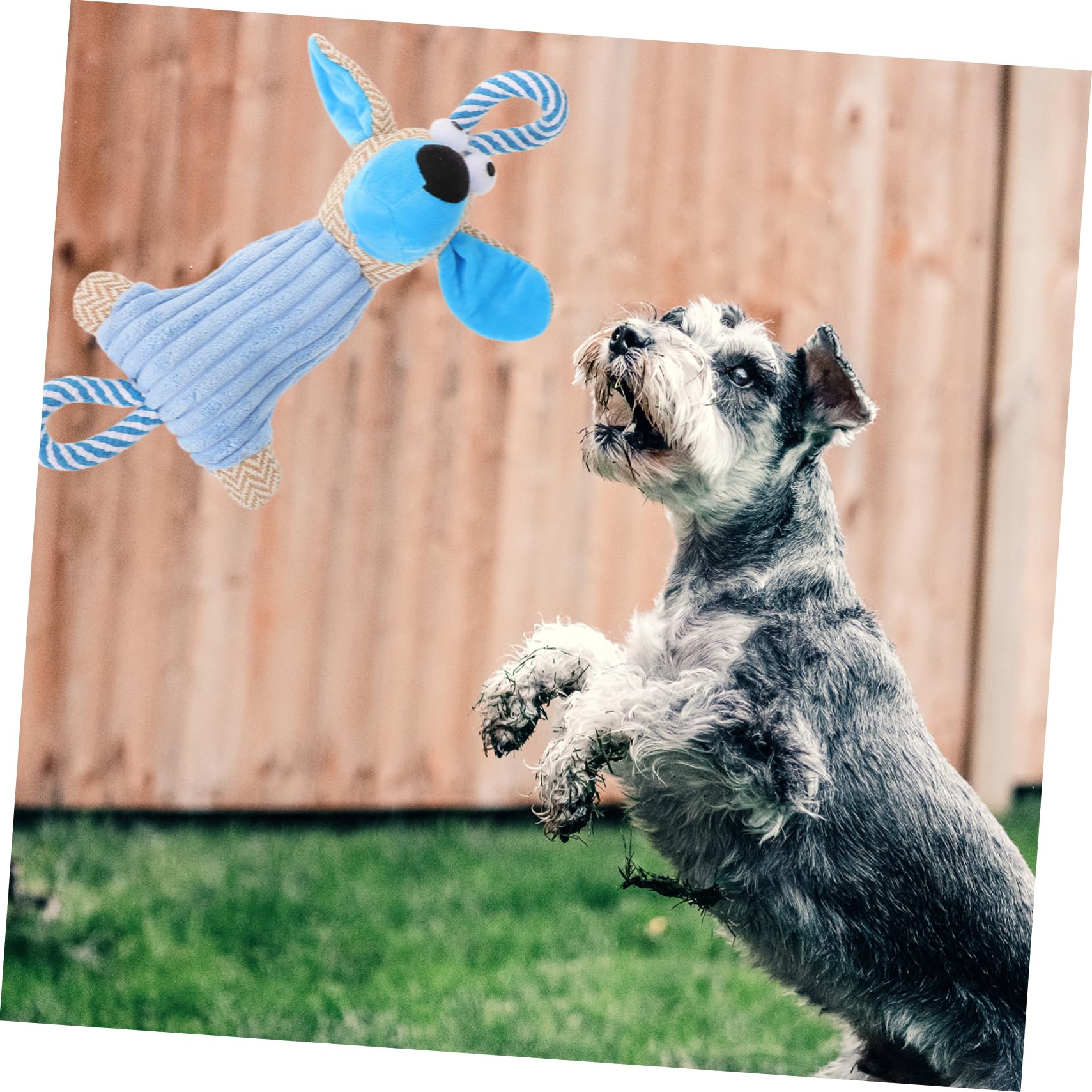 Balacoo Puppy Chew Toys - Soft Plush Dog Toys for Small, Medium & Large Dogs - Cartoon Educational Chewing Toy for Puppy Training & Teething Relief - Perfect for Playtime, Cuddling & Anxiety Relief