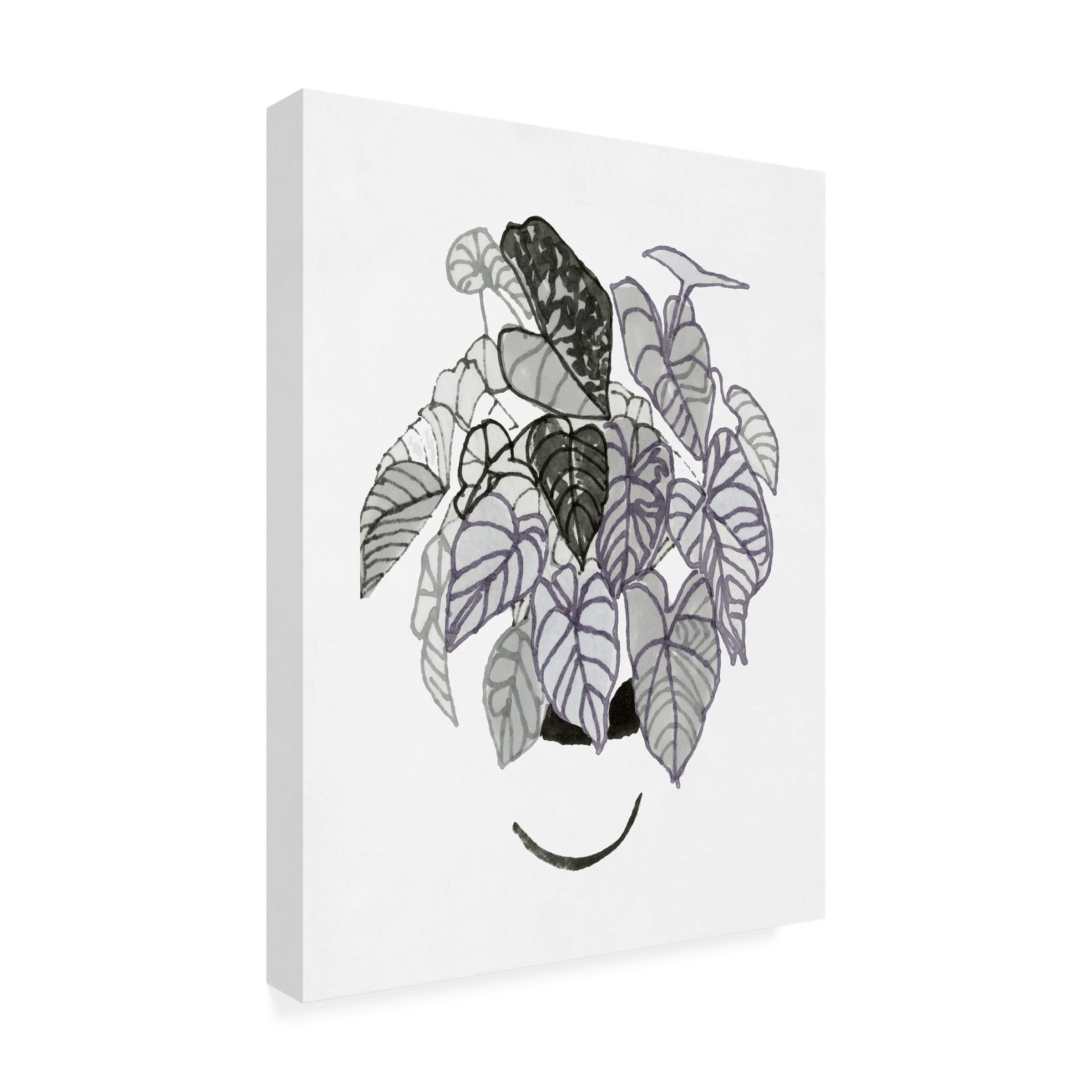 Stellar Design Studio 'Black And White Indoor Plant I' Canvas Wall Art Print - Modern Botanical Home Decor for Living Room, Bedroom & Office