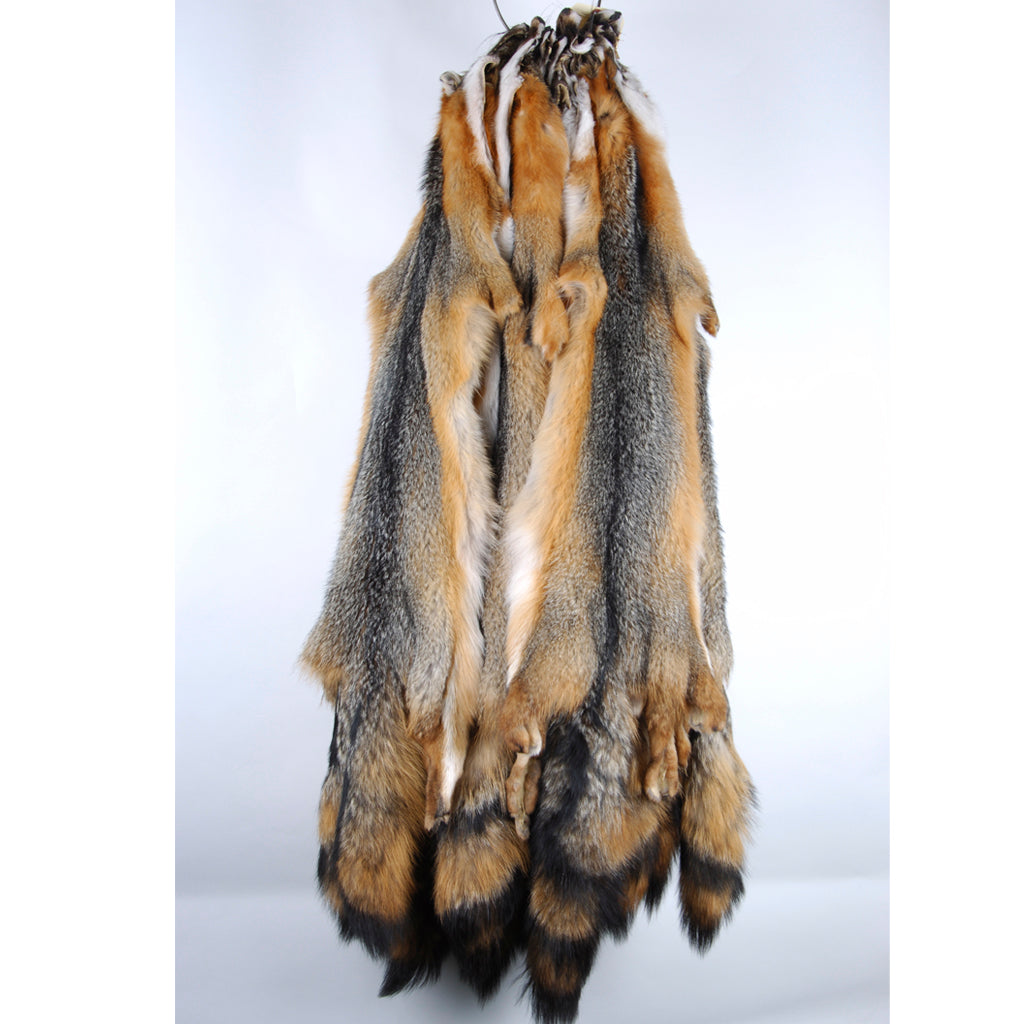 Premium Eastern Grey Fox Fur Pelts - Real Animal Skins for Taxidermy, Crafts & Home Decor - Perfect for DIY Projects, Fashion Accessories & Rustic Decor
