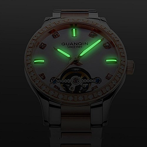 Carlien Date Women's Luxury Automatic Mechanical Watch - Waterproof Business Wristwatch for Professional Women | Perfect for Office, Meetings & Formal Events