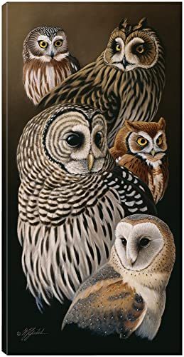 Eyes Of The Night - Owls