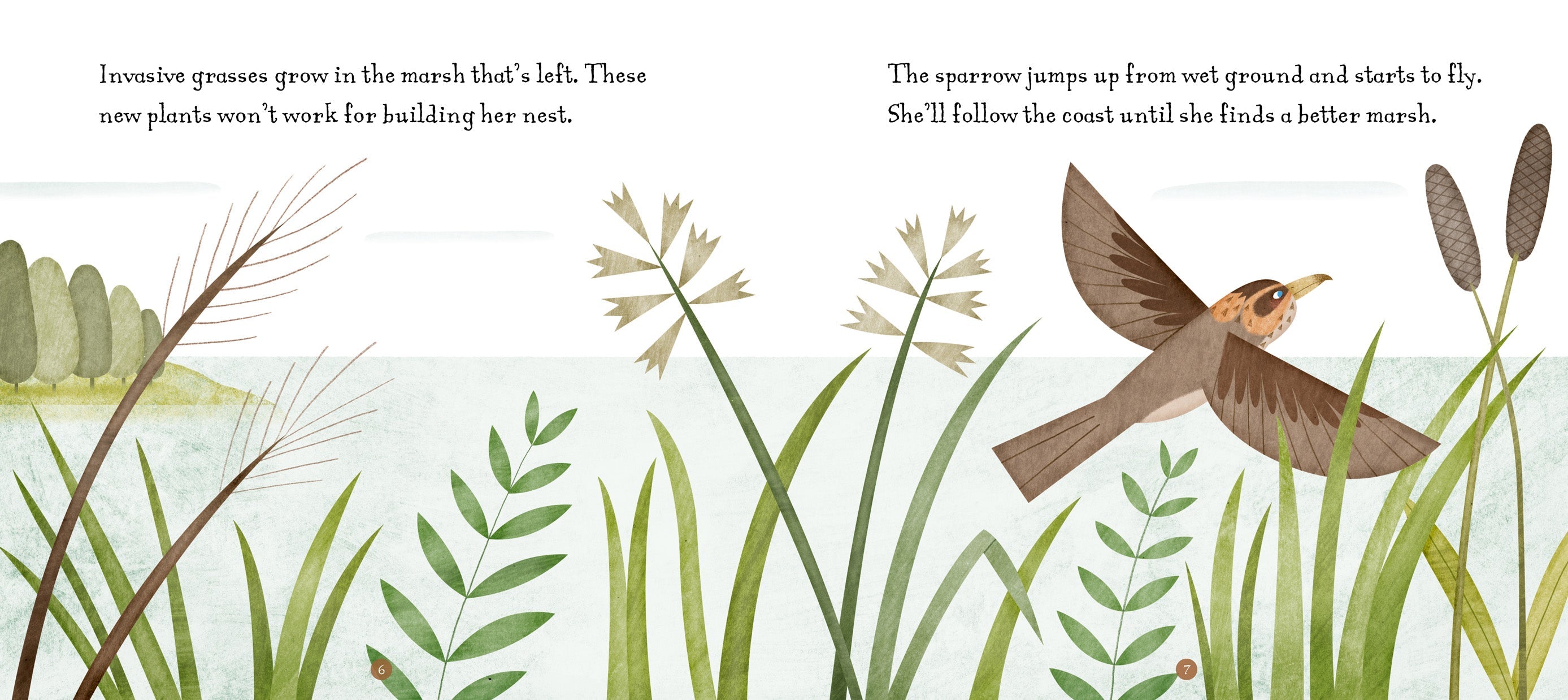 Disappearing Home of the Sparrow - Environmental Conservation Book for Kids | Perfect for Classroom Learning & Nature Awareness