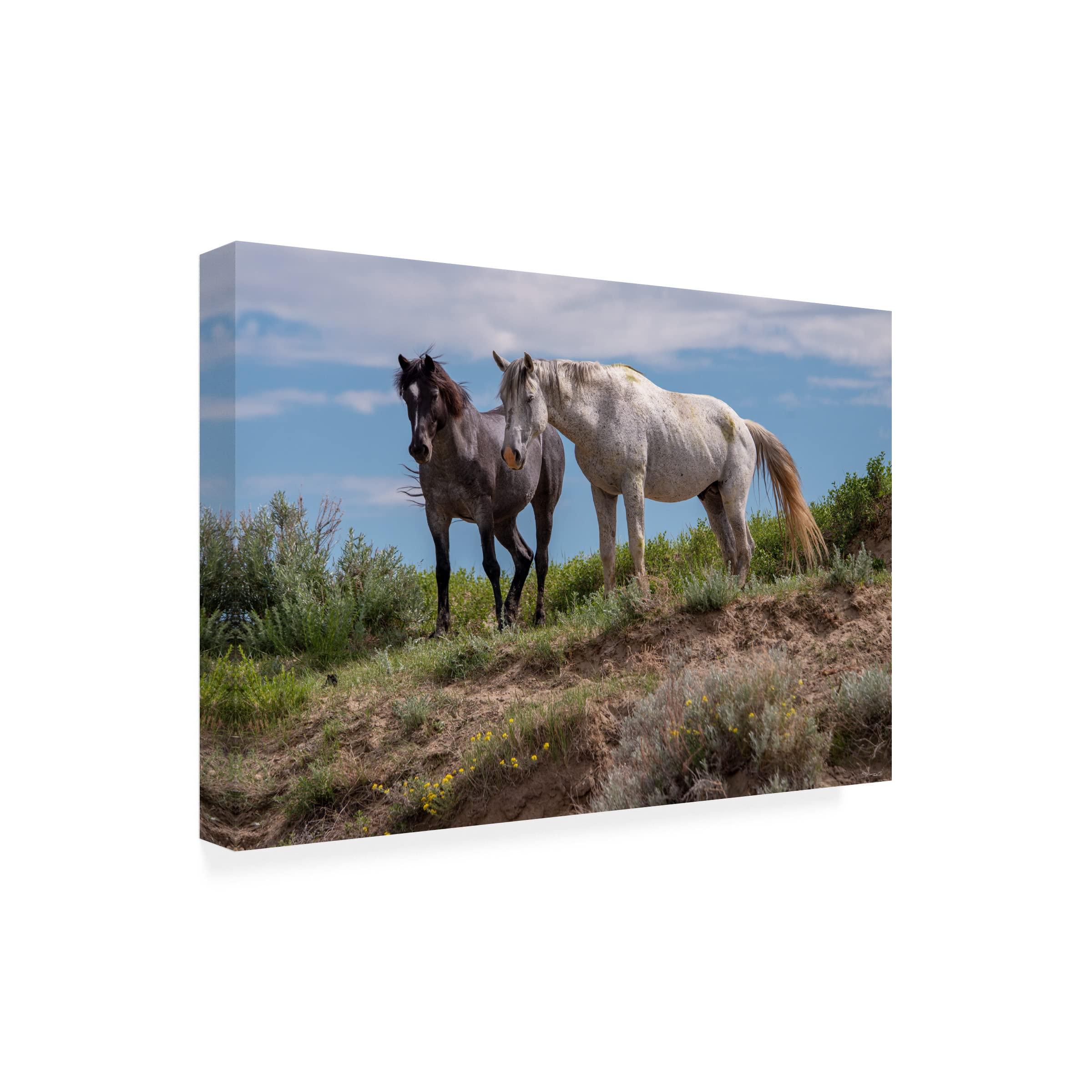 Gordon Semmens 'Enter the Badlands 33' 16x24 Canvas Wall Art Print - Western Landscape Painting for Living Room, Office & Home Decor